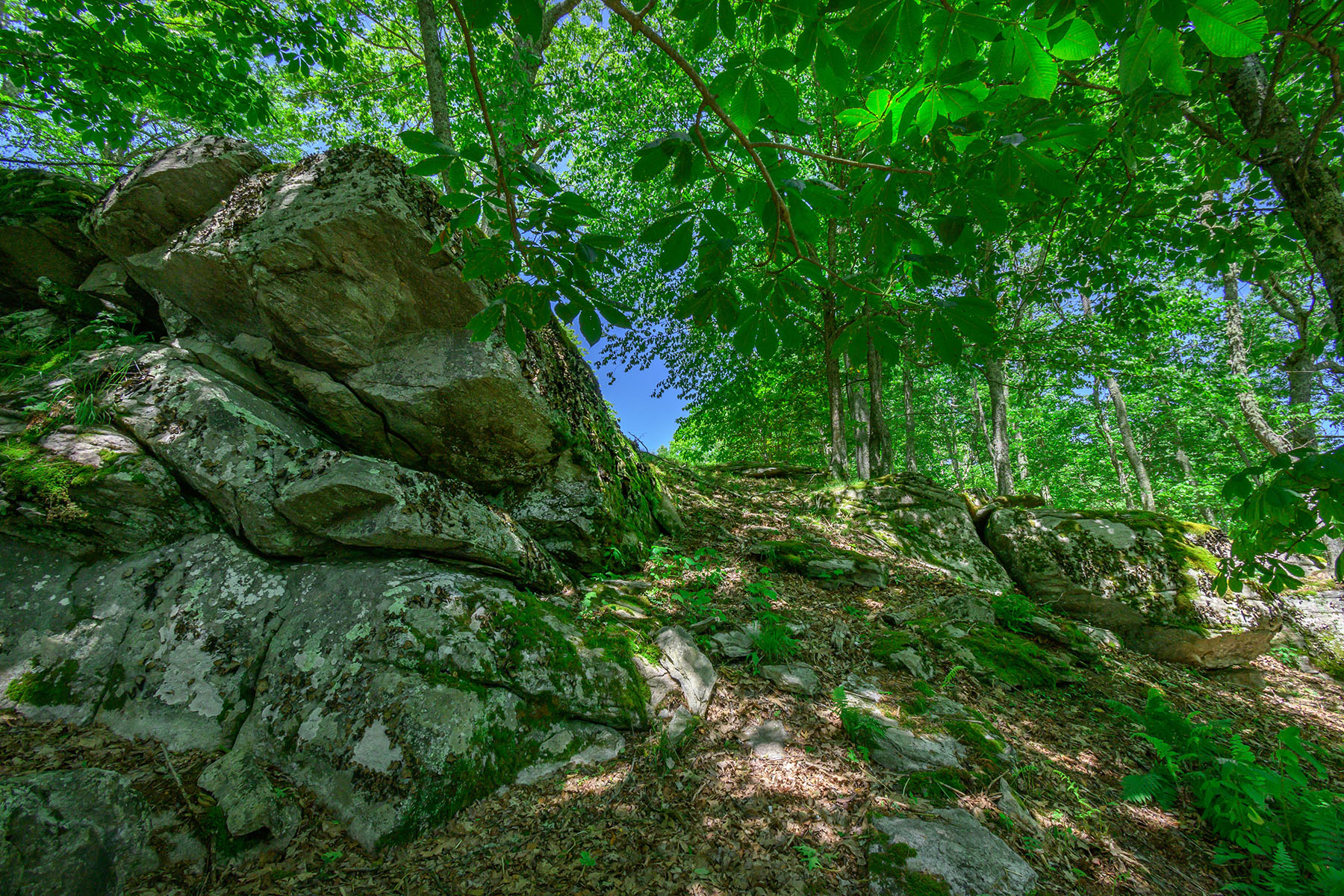  BANNER ELK - ROCKY KNOB - 物件實景