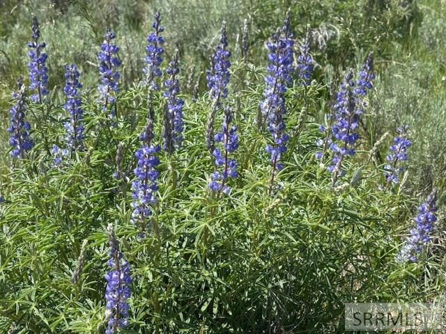 RIRIE, Idaho, 83443, United States, ,Residential,For Sale,1974893