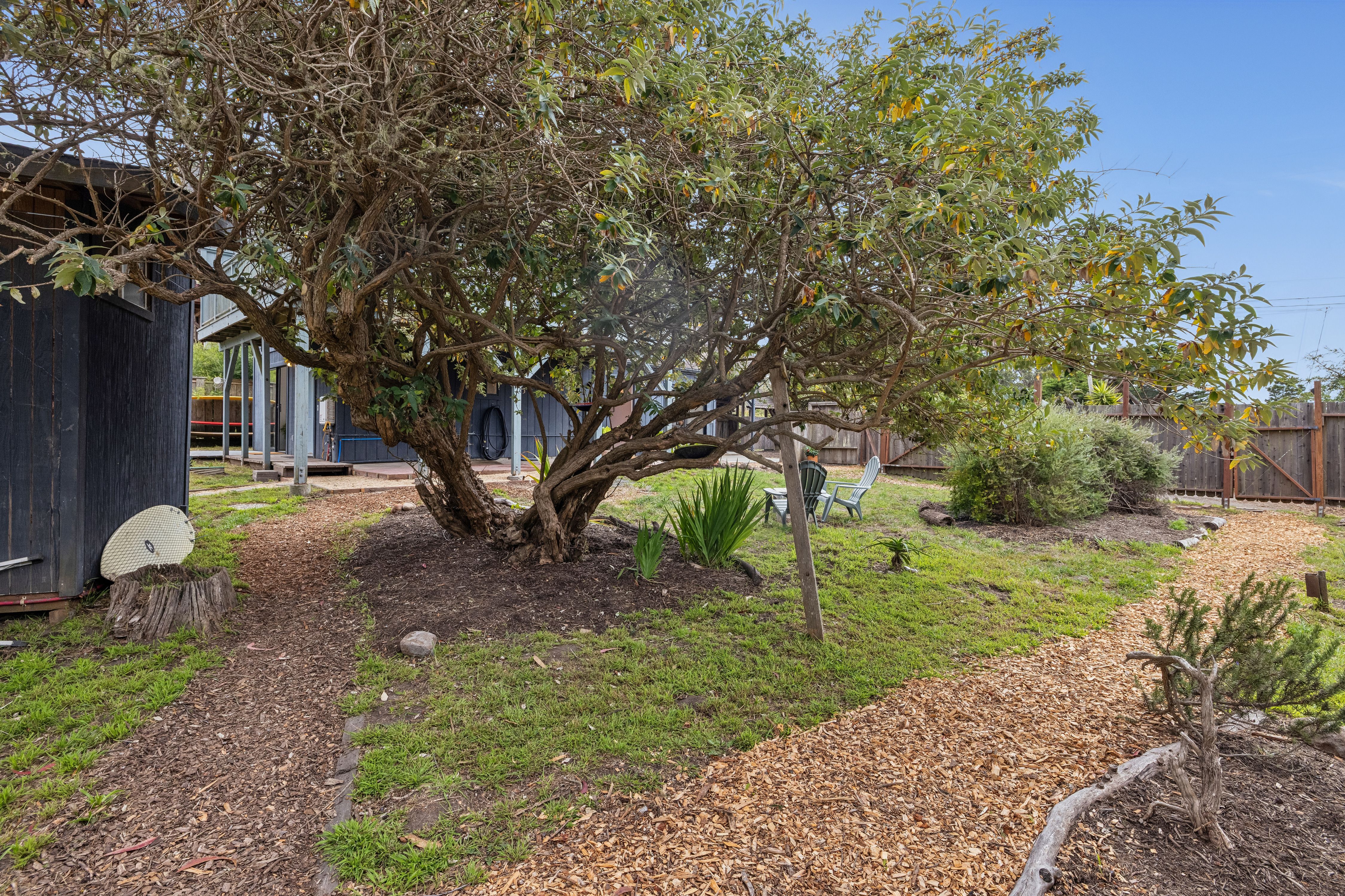  Radiant Residence, Natural Habitat in Bolinas - 物件實景