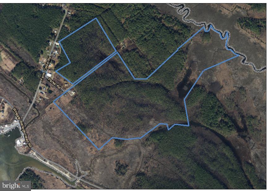 Toddville, Maryland, 21672, United States, ,Land,For Sale,1906623