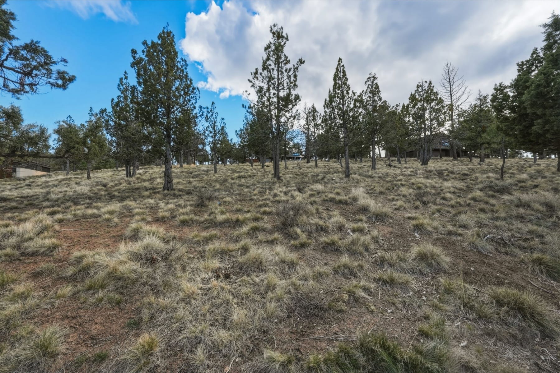  1560 NW Wild Rye Circle Bend, OR 97703 - 物件實景