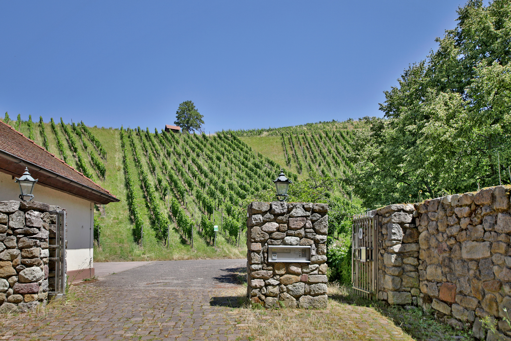  Neuweier Castle - Living and Working on a Historic Winery Estate - 物件實景