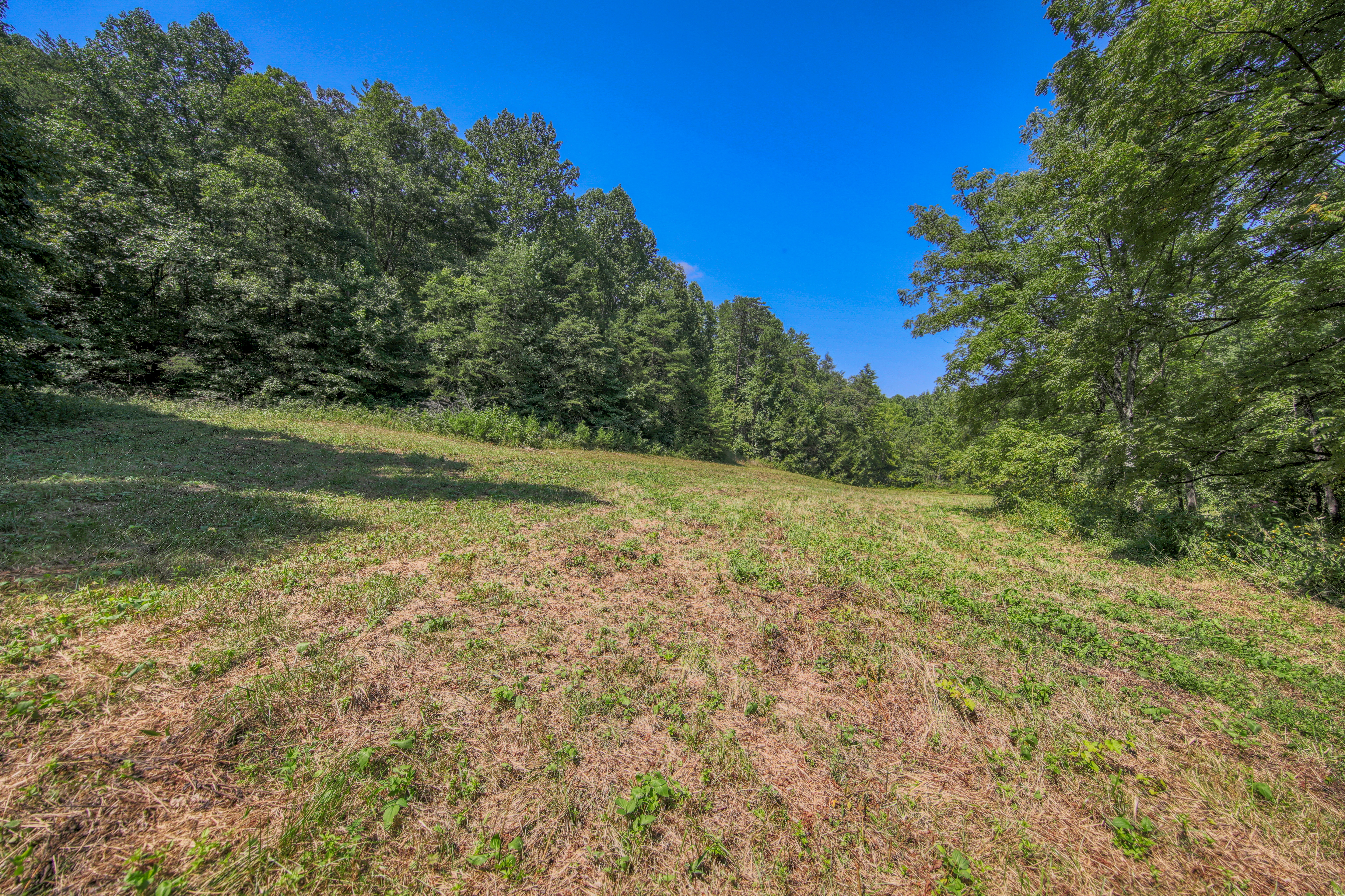  Belcher Loop, Tellico Plains, TN 37385 - 物件實景