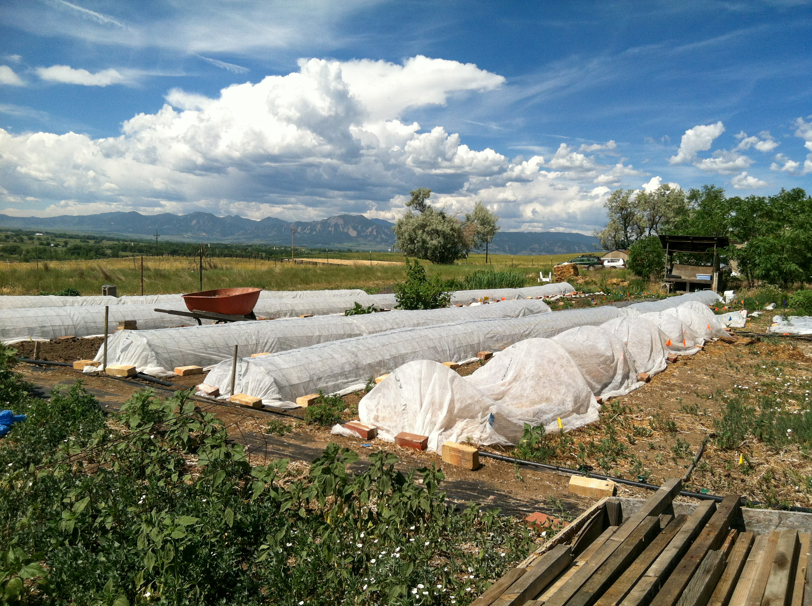  Multi-Structure Property on 3.68 Acres Suitable for Small-Scale Agriculture - 物件實景
