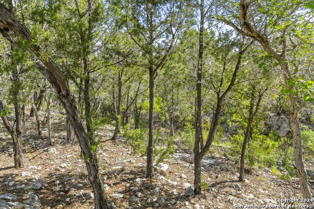 37 SABINAS RIDGE RD, Boerne, Texas, 78006, United States, ,Land,For Sale,37 SABINAS RIDGE RD,1612844