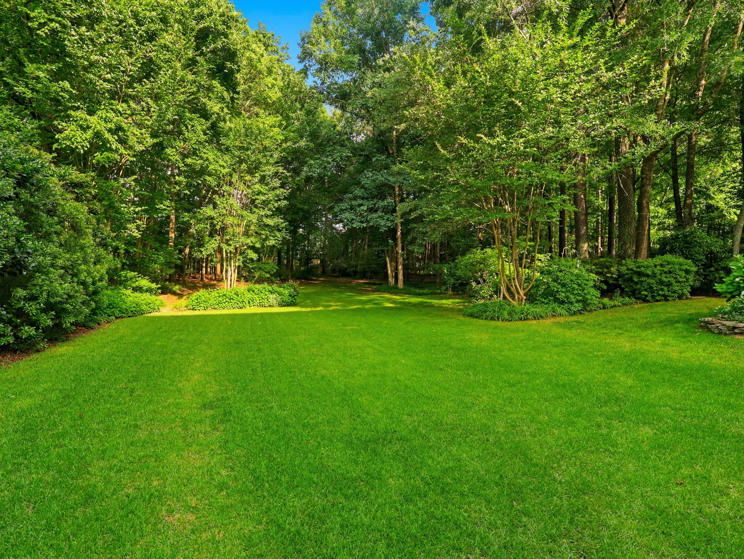  311 Schubauer Drive, Cary, NC 27513 - 物件實景