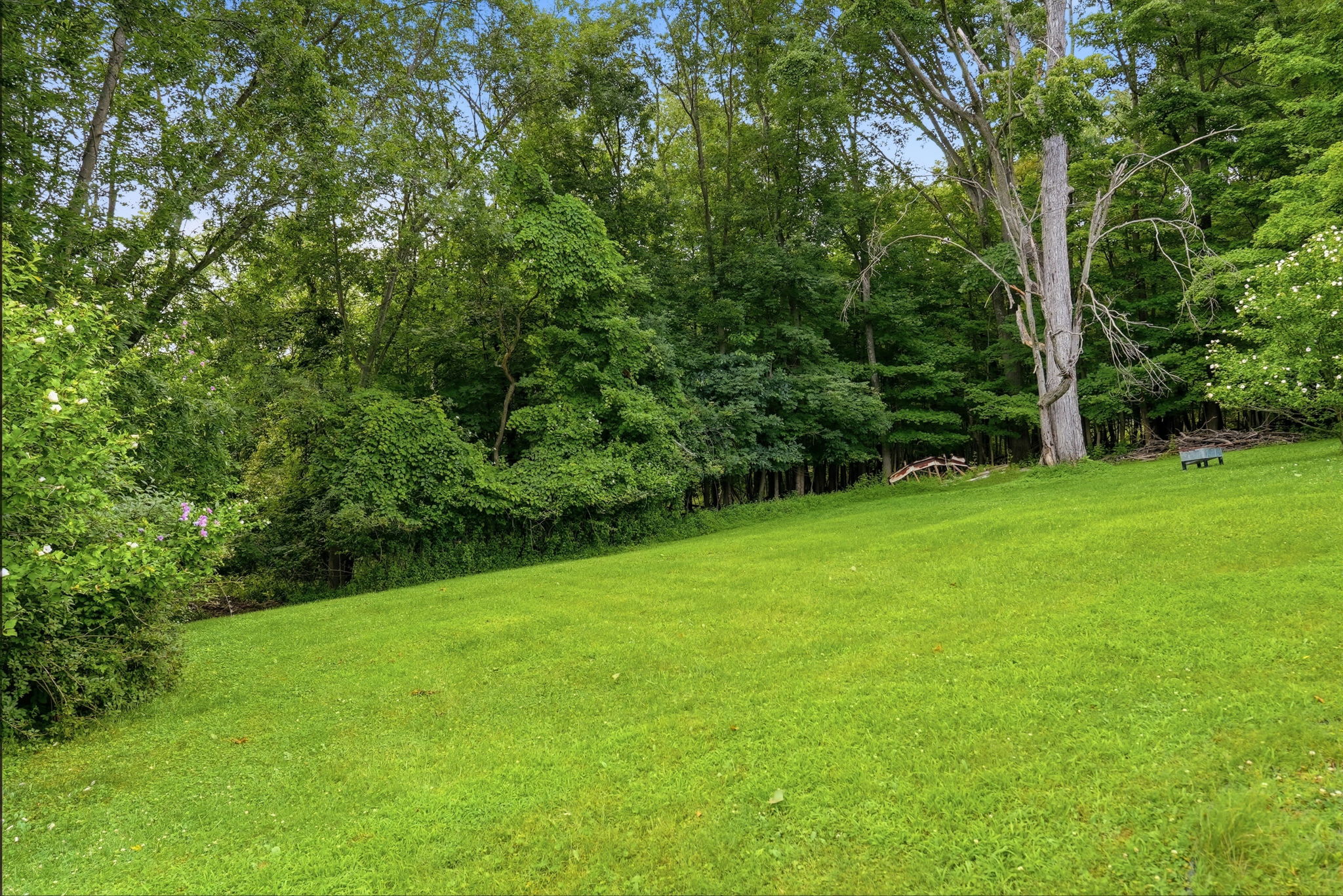  145 Karen Drive, Elizabeth, PA 15037 - 物件實景