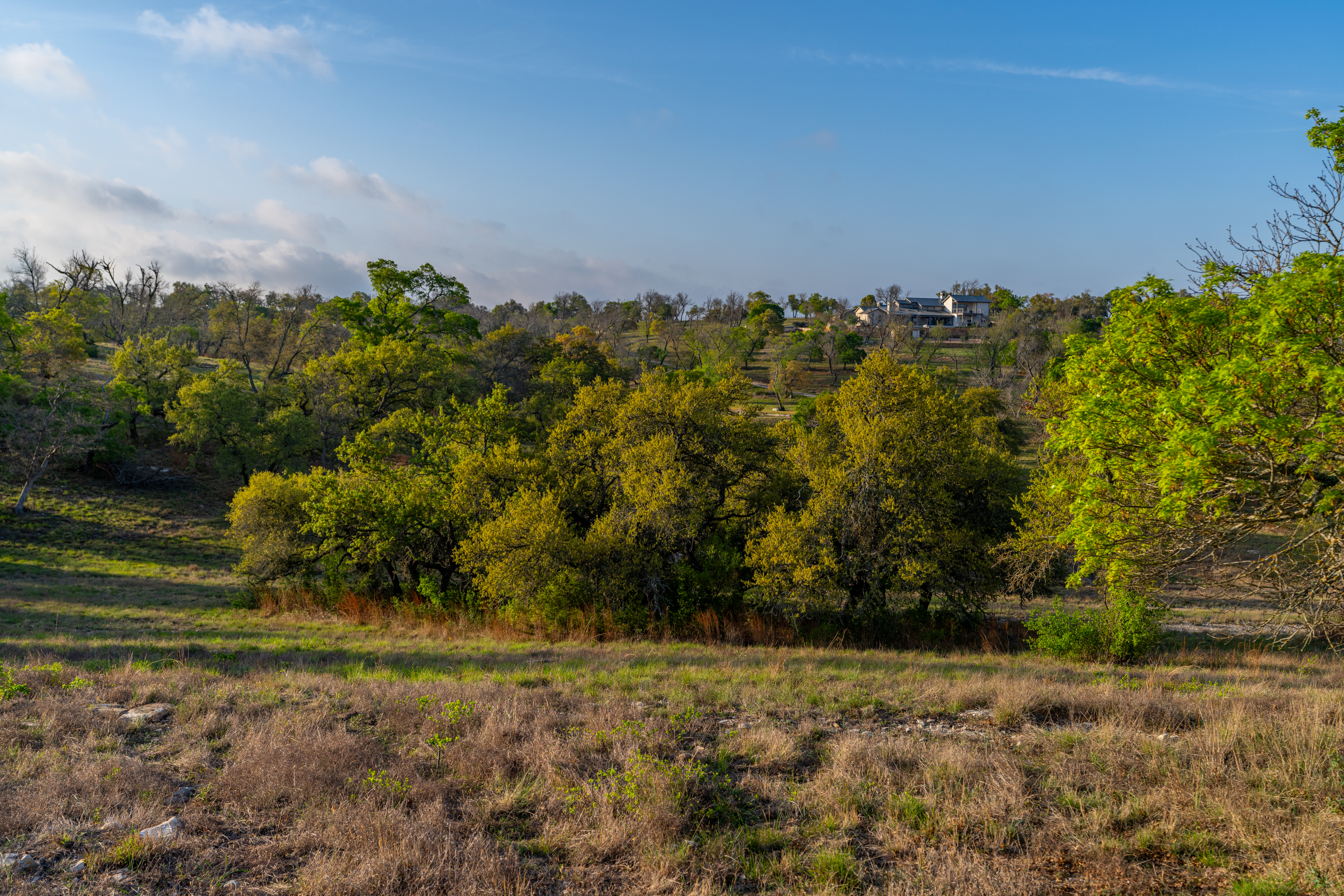  French Country Elegance in the Texas Hill Country - 物件實景