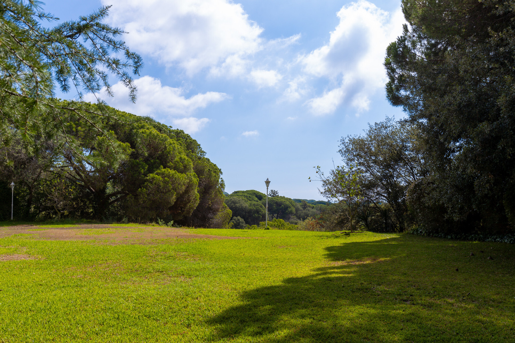  House with large plot and sea views in Llavaneres, Barcelona - 物件實景