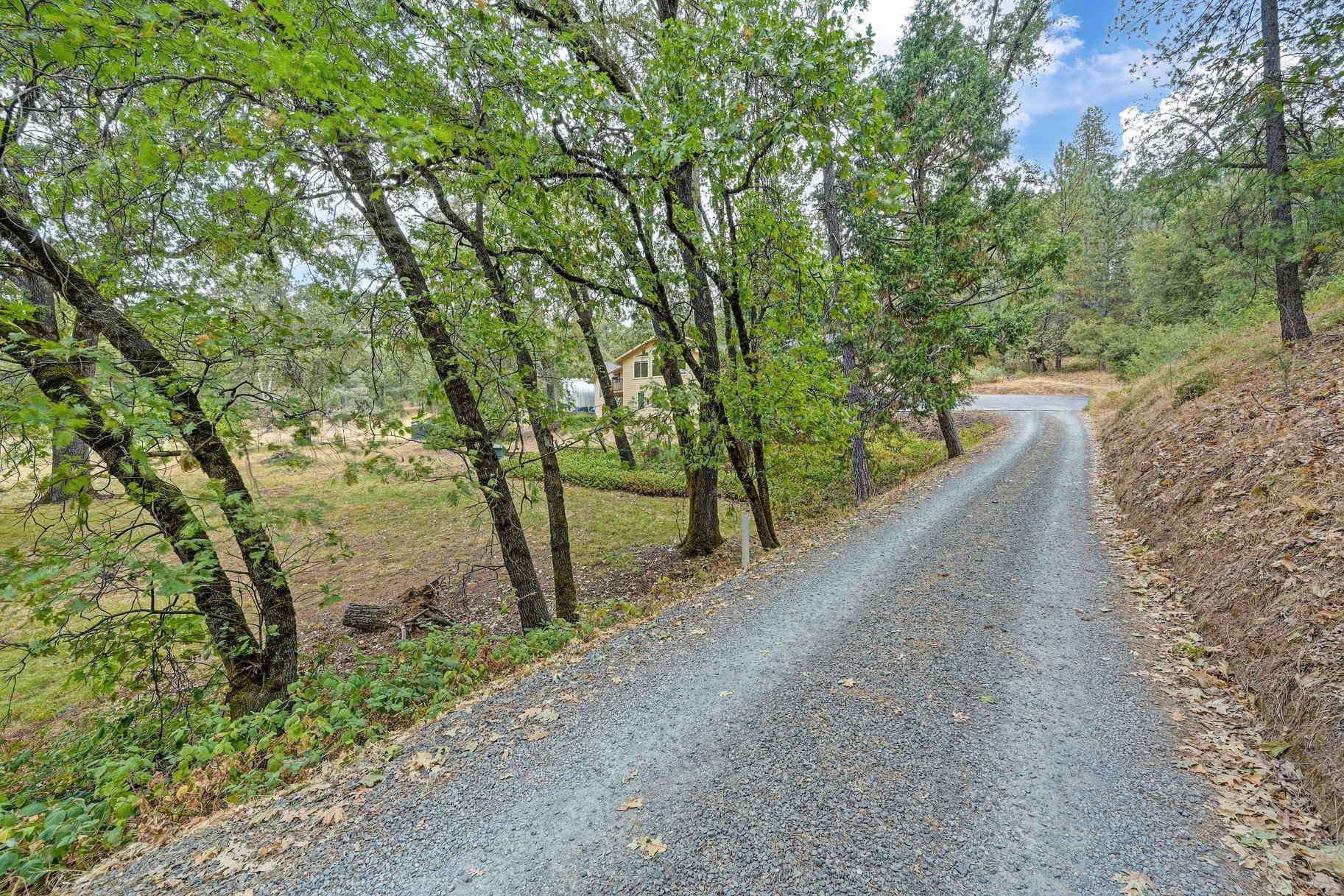  Spacious Grass Valley Country Property, 5 acres, shop and pond - 物件實景