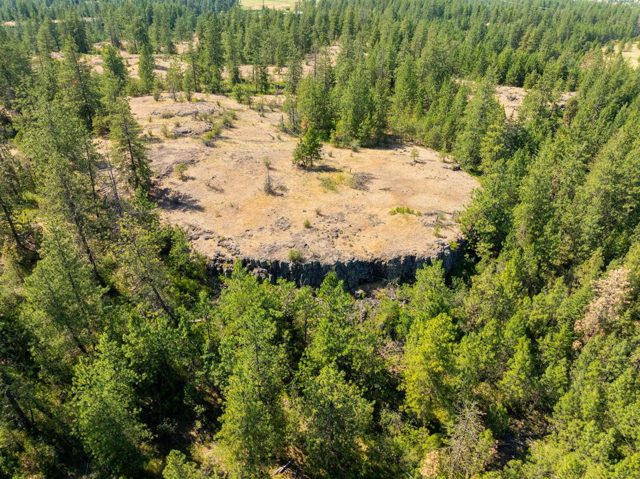 Nine Mile Falls, Washington, 99026, United States, ,Land,For Sale,1960887