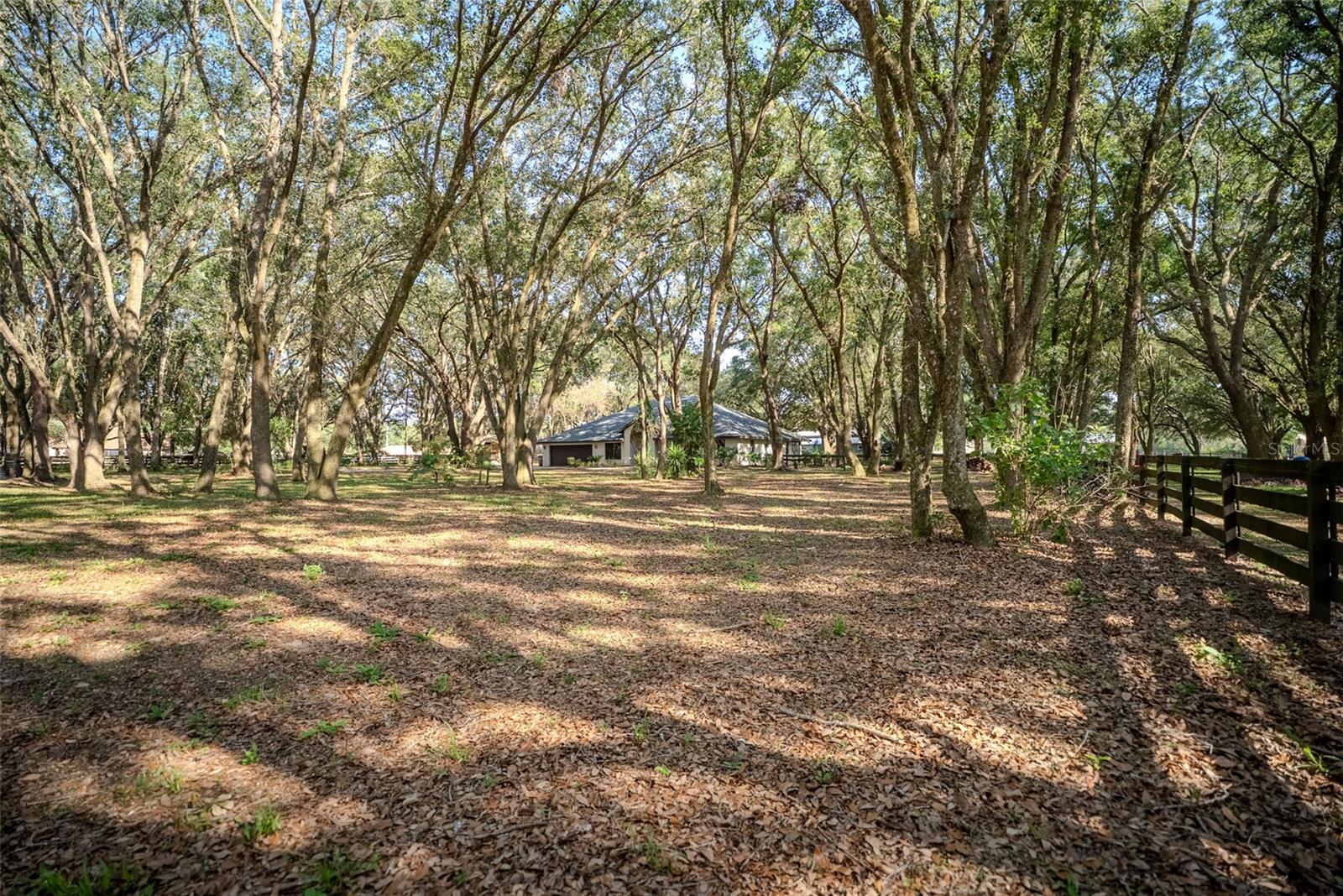 LADY LAKE, Florida, 32159, United States, 5 Bedrooms Bedrooms, ,3 BathroomsBathrooms,Residential,For Sale,1850305