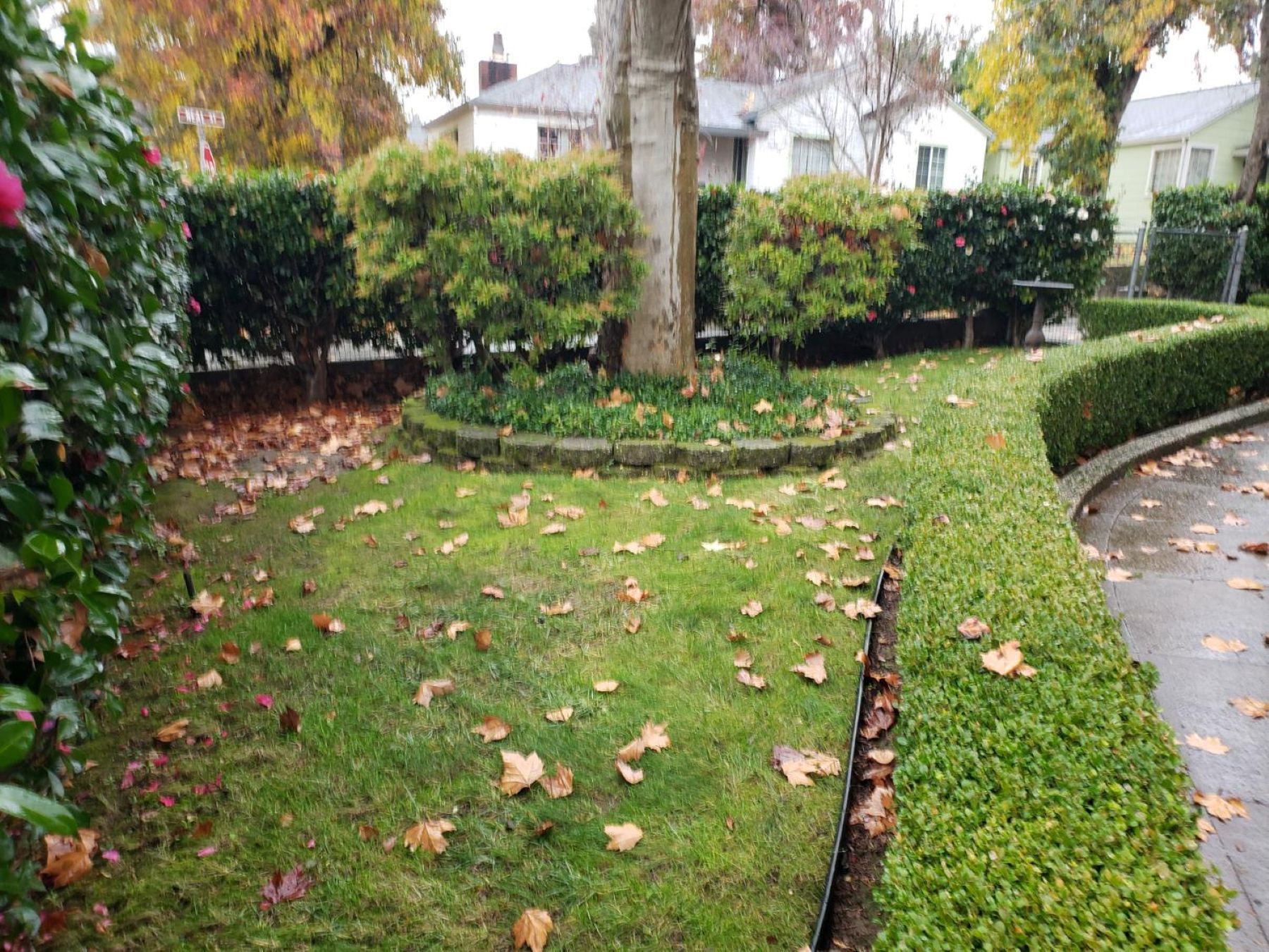  203 Pleasant Street, Grass Valley, CA 95945 - 物件實景