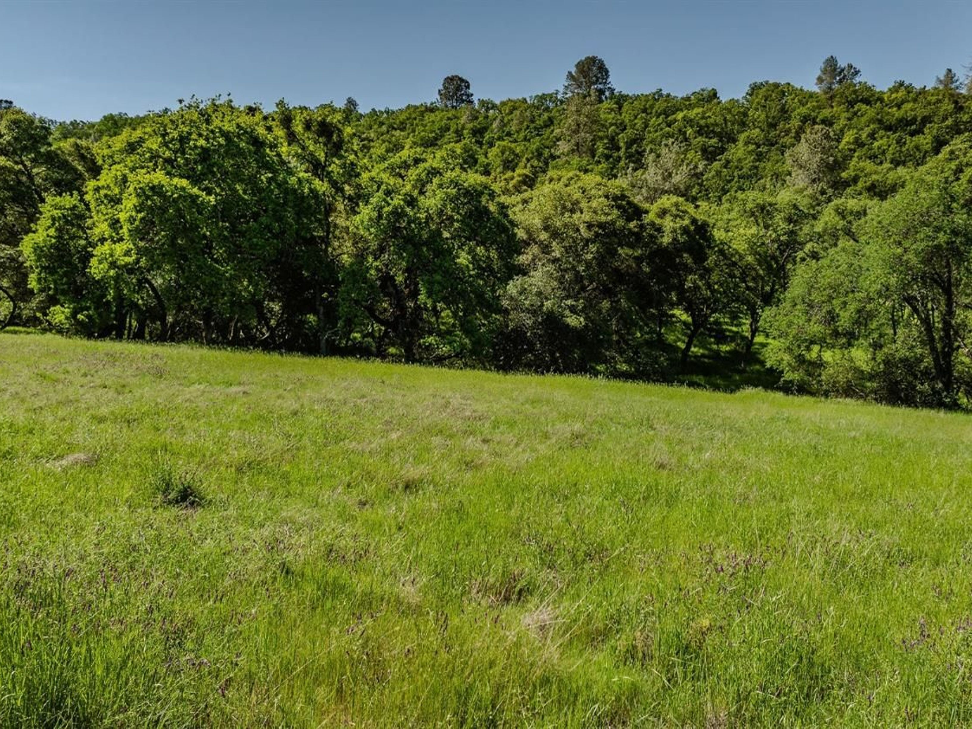  10865 Sunset Drive, Sutter Creek, CA 95685 - 物件實景