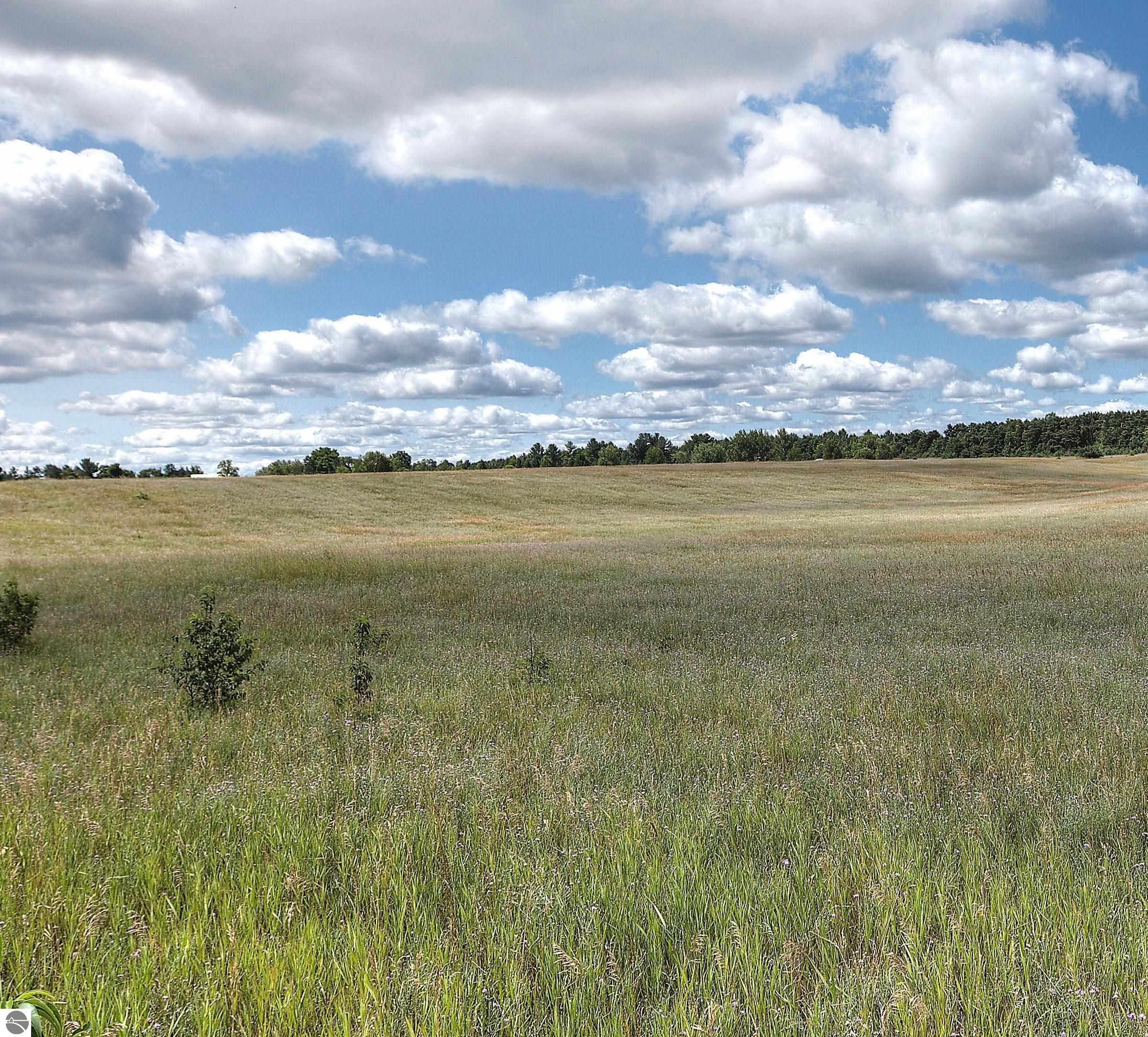 Interlochen, Michigan, 49643, United States, ,Land,For Sale,1895460