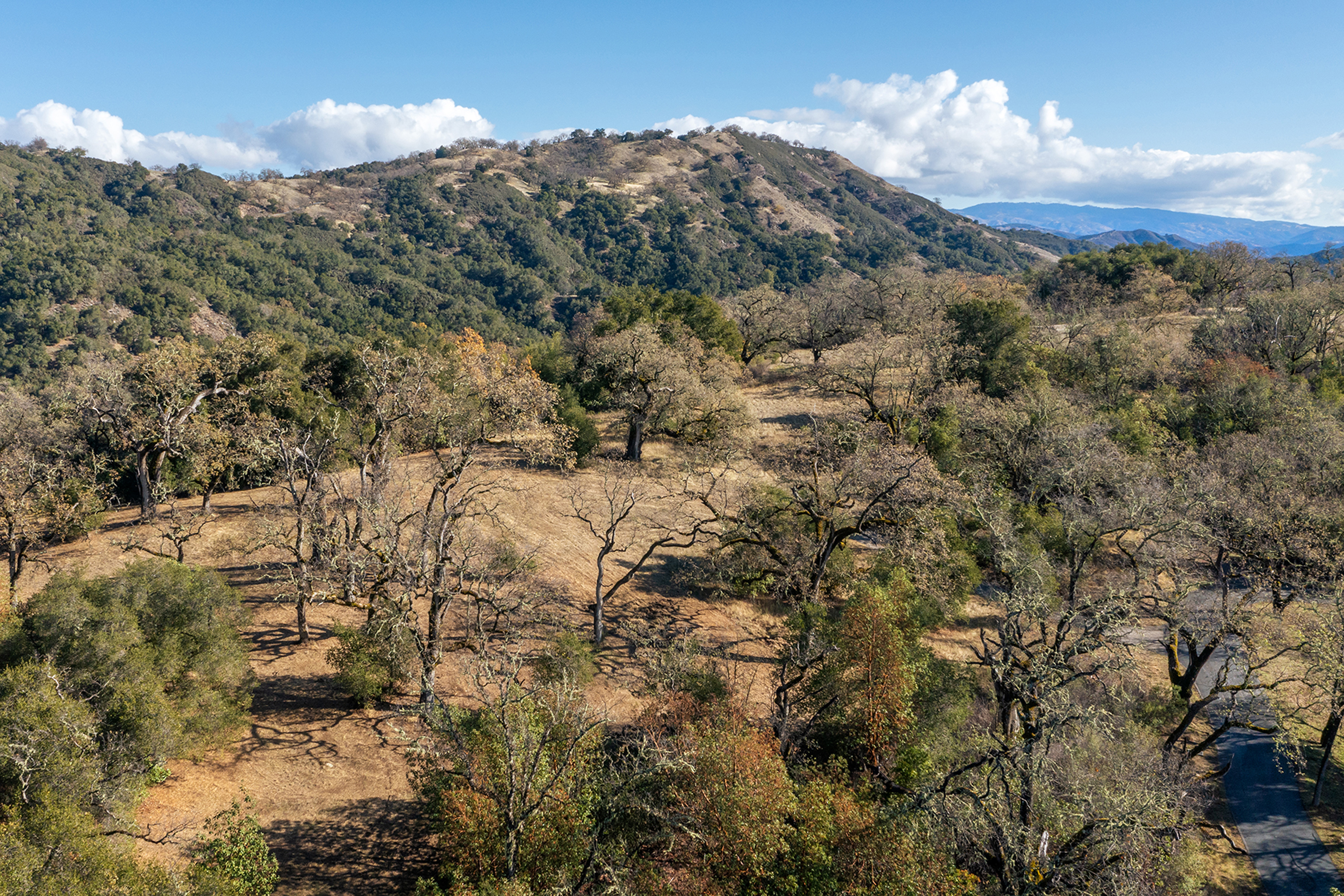  37 Arroyo Sequoia (Lot 113) - 物件實景