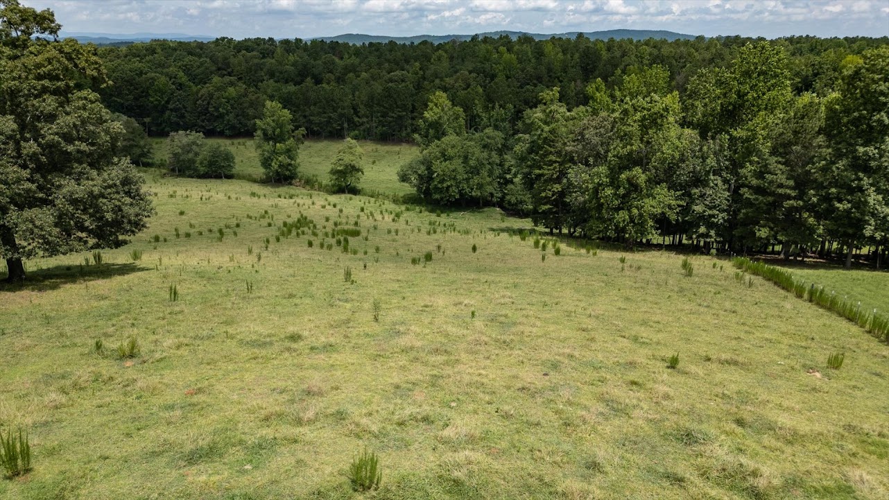 Heflin, Alabama, 36264, United States, ,Land,For Sale,1981342