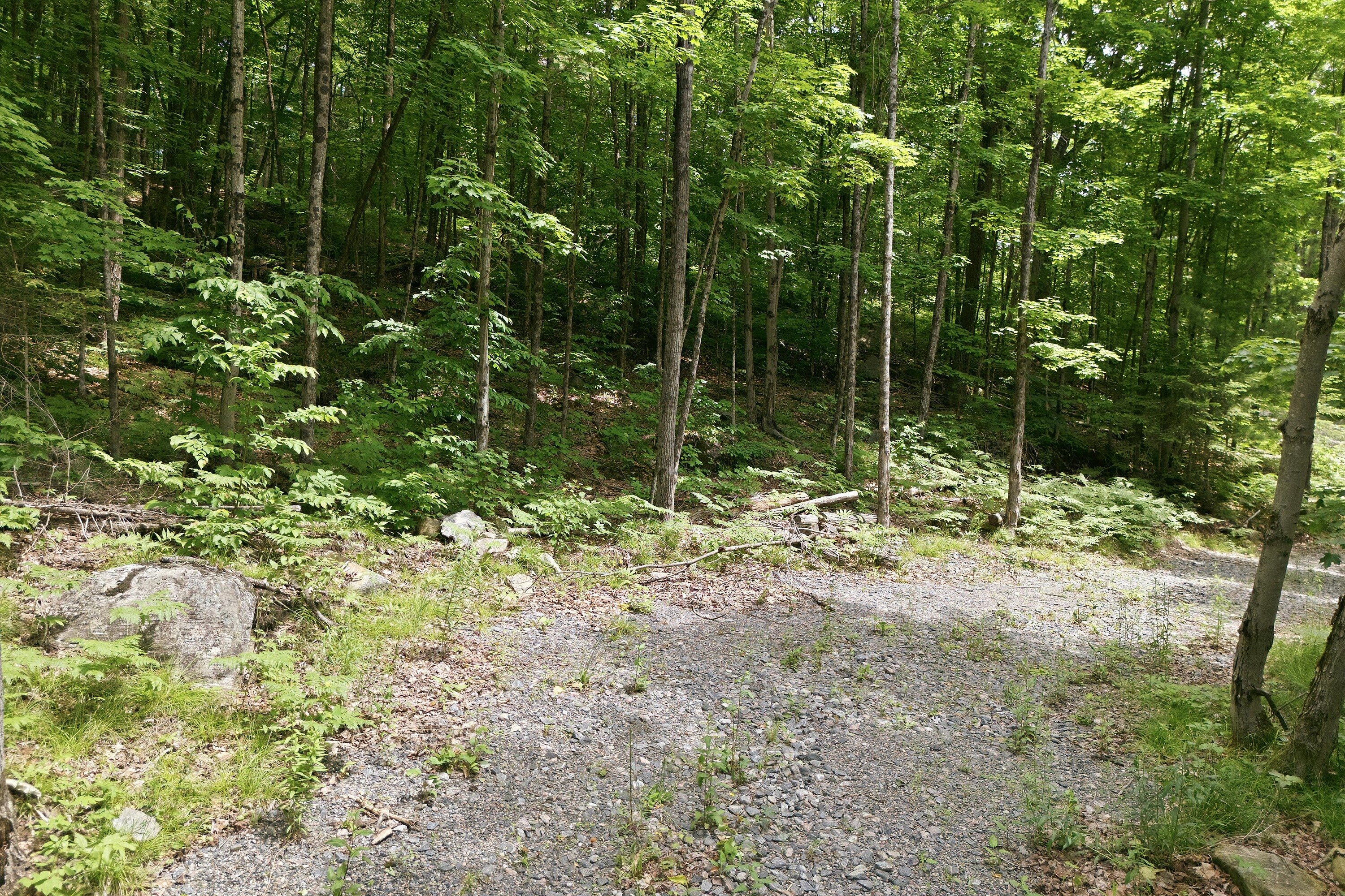 Bracebridge Building Lot - 物件實景