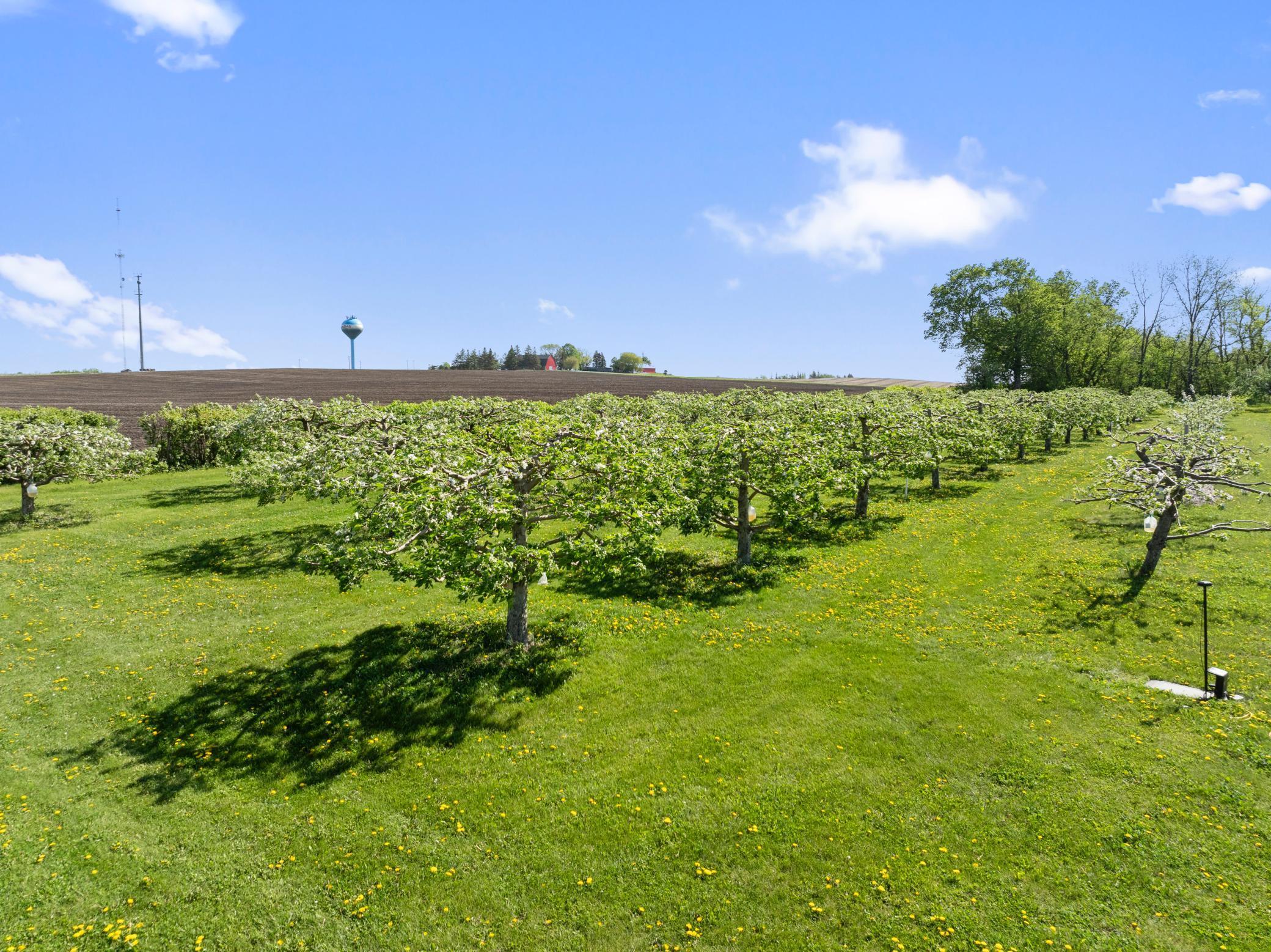 Bridgewater Twp, Minnesota, 55057, United States, ,Residential,For Sale,1851900