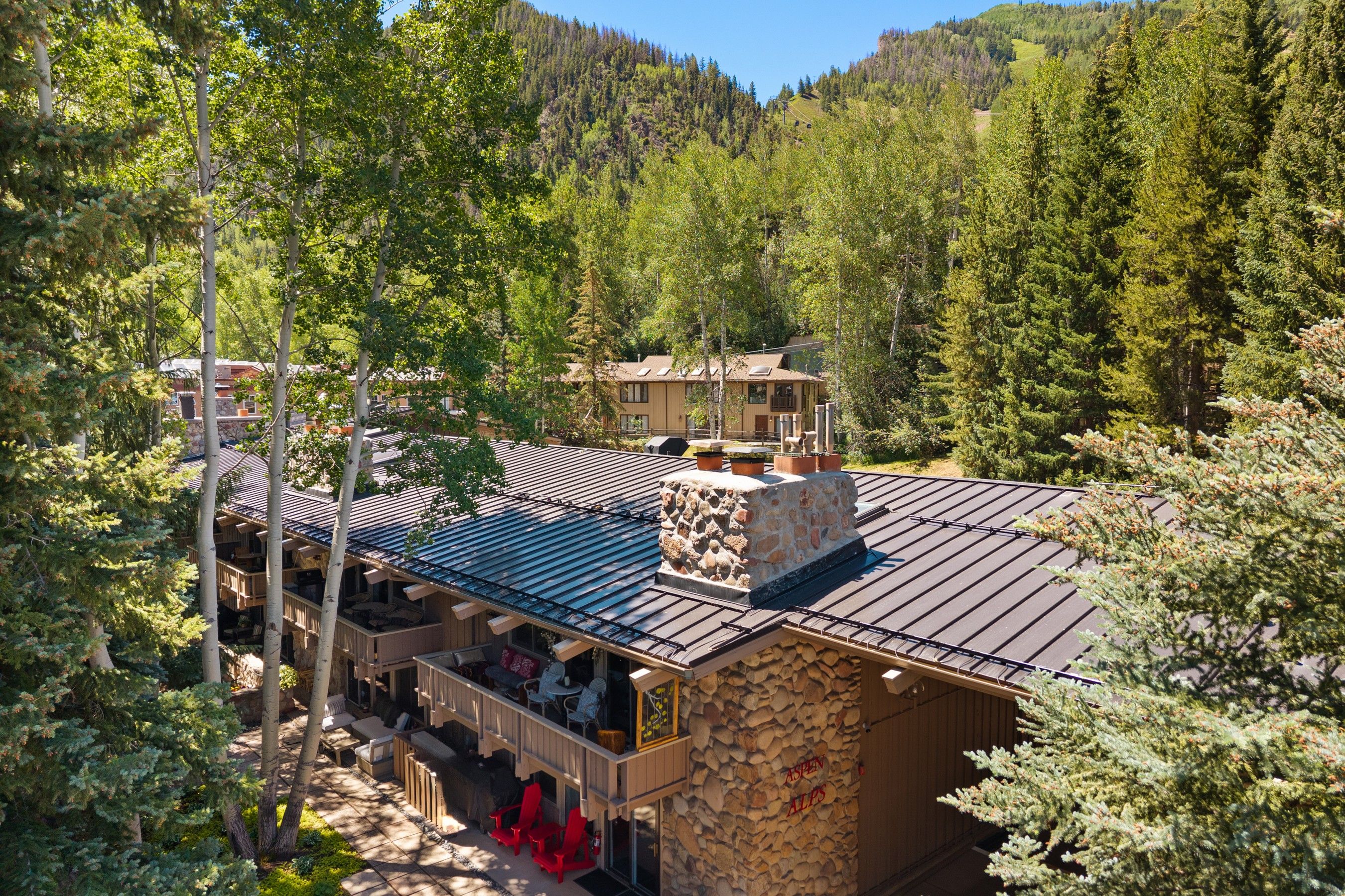  700 Ute Avenue, Aspen, CO, 81611 - 物件實景