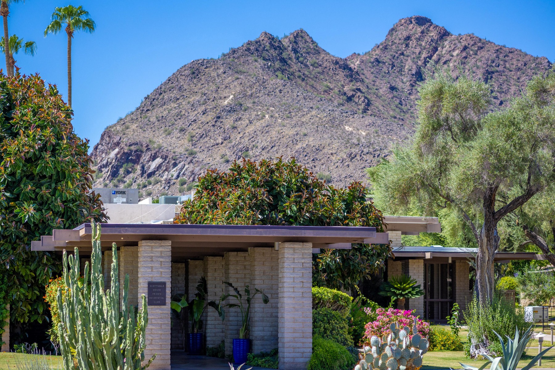  4800 N 68th Street¦Scottsdale, AZ - 物件實景