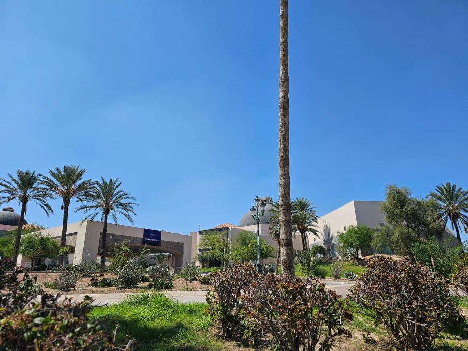 Sierra de los Alpes, Torreón, Coahuila de Zaragoza, 27274, Mexico, 1 Bedroom Bedrooms, ,Residential,For Sale,Sierra de los Alpes,1599847