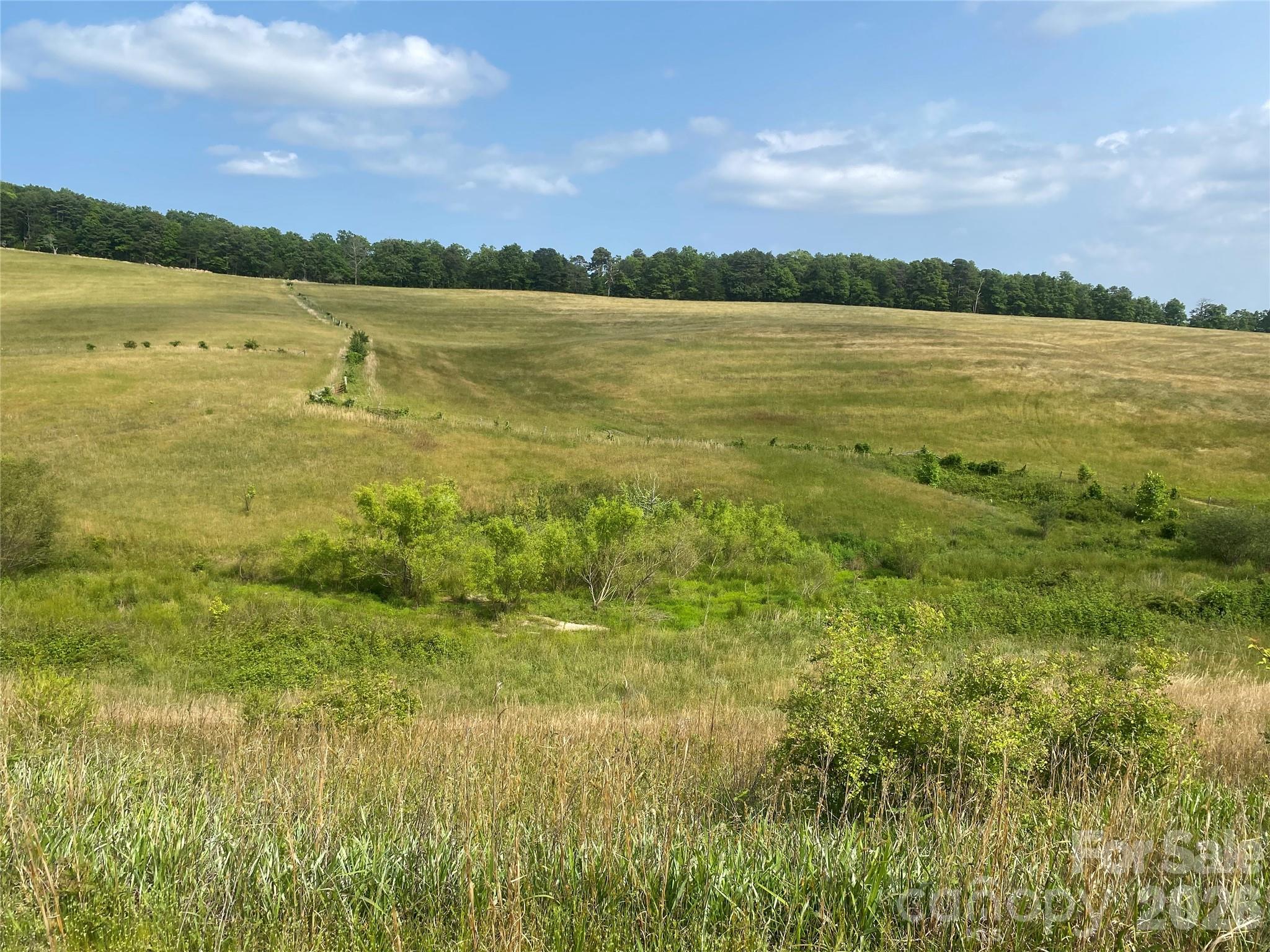 Hendersonville, North Carolina, 28792, United States, ,Land,For Sale,2010421