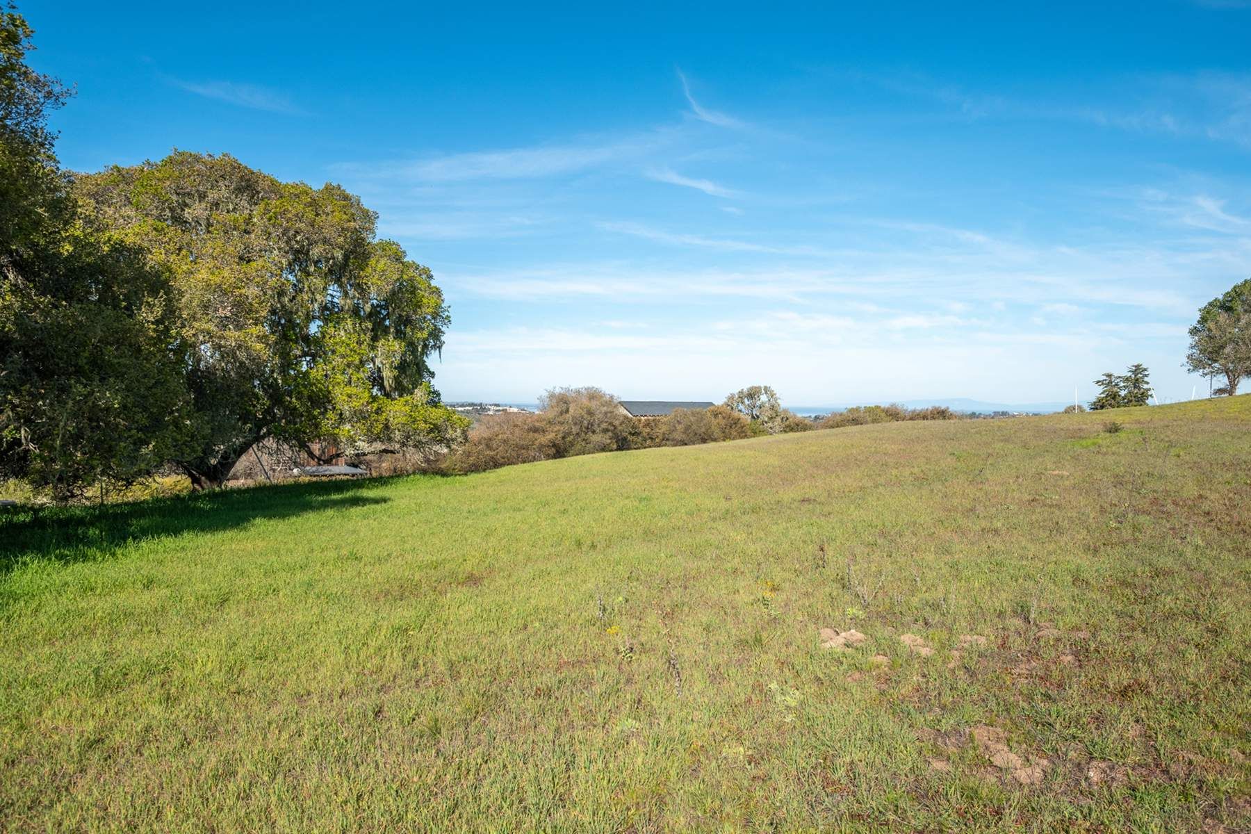  8375 Monterra Views (Lot 155) - 物件實景