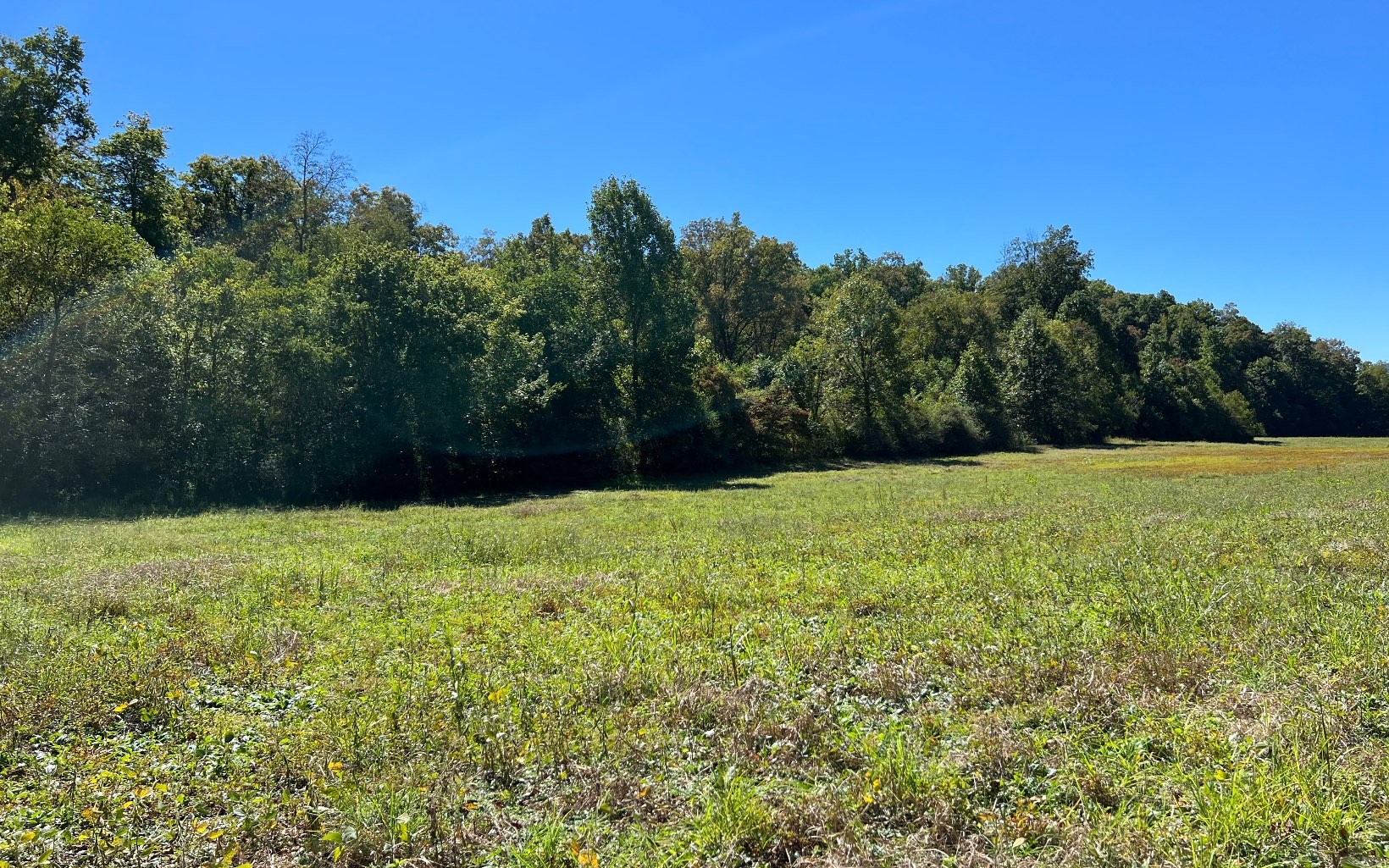 Hayesville, North Carolina, 28904, United States, ,Residential,For Sale,1943293