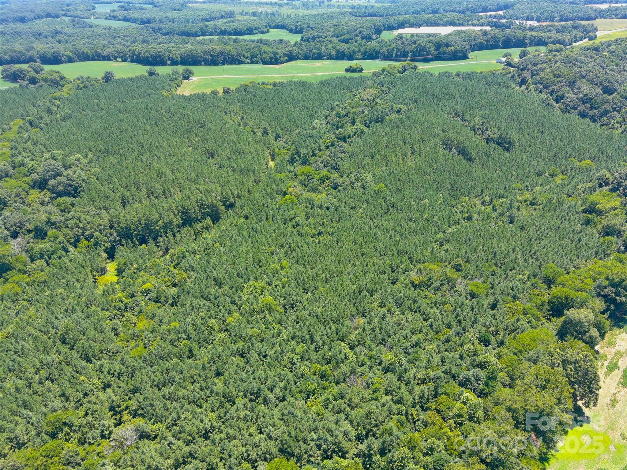 Polkton, North Carolina, 28135, United States, ,Land,For Sale,1976298