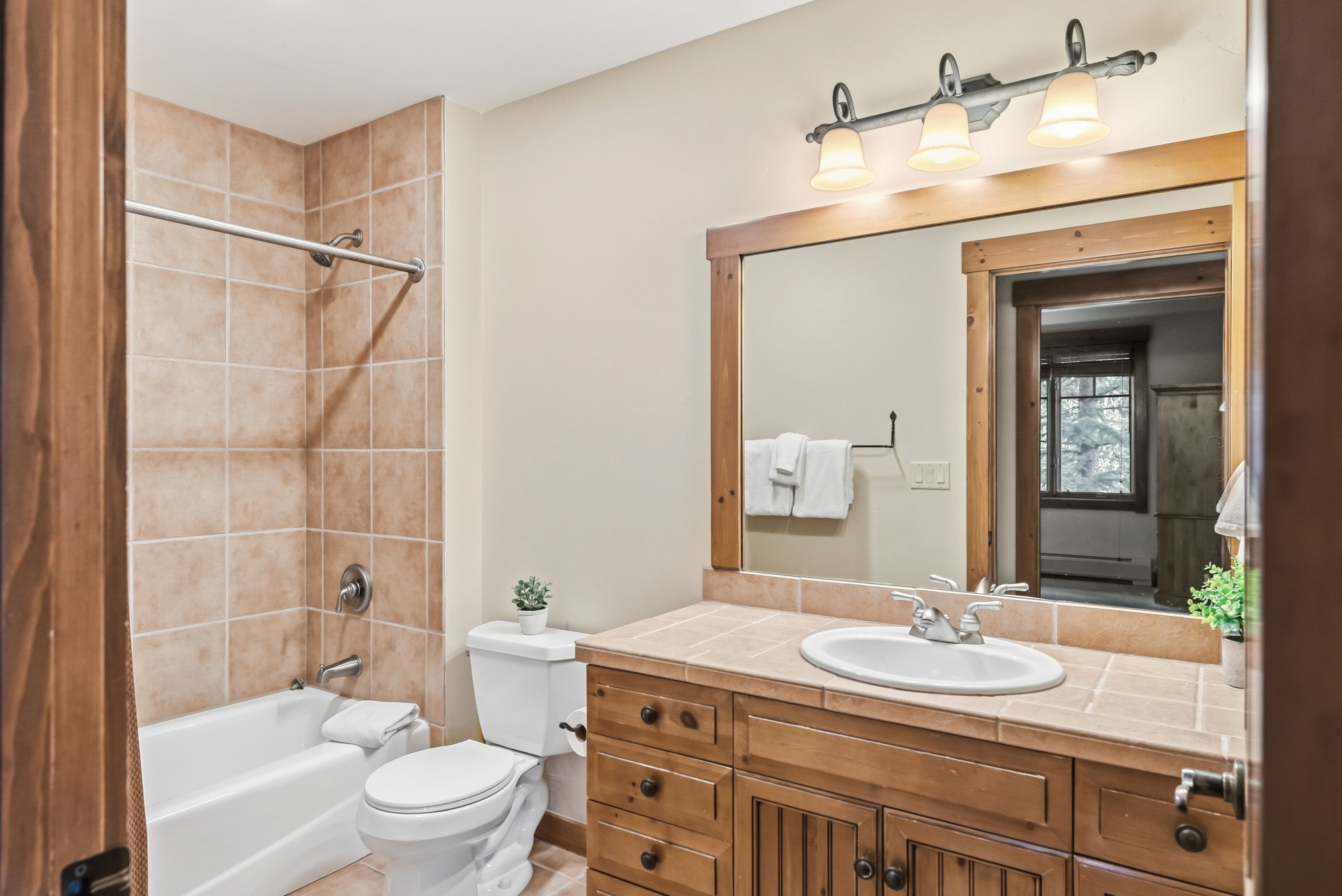  50 Mountain Thunder Drive, Breckenridge, CO, 80424 - 物件實景