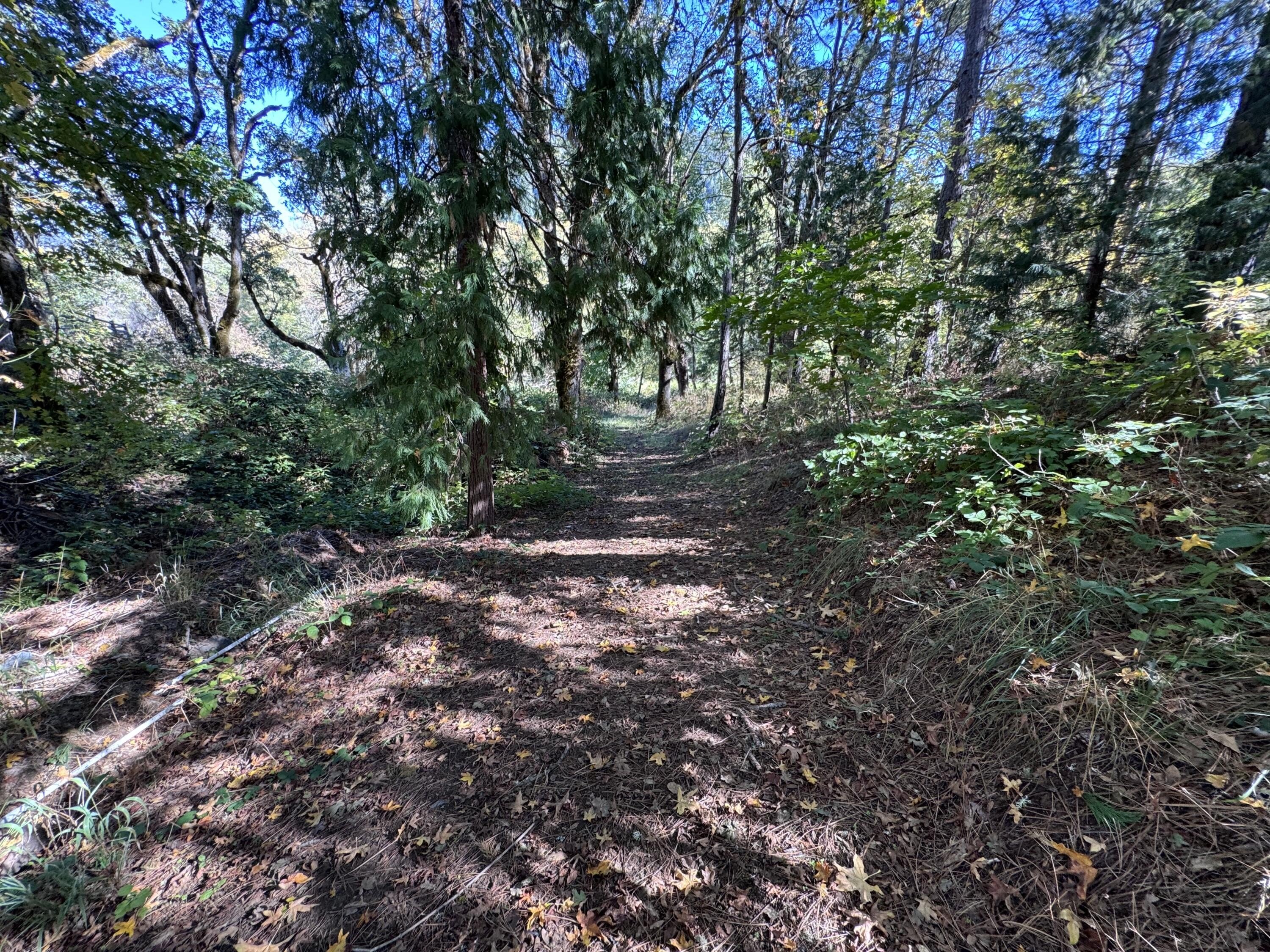 Rogue River, Oregon, 97537, United States, 3 Bedrooms Bedrooms, ,4 BathroomsBathrooms,Residential,For Sale,1982617