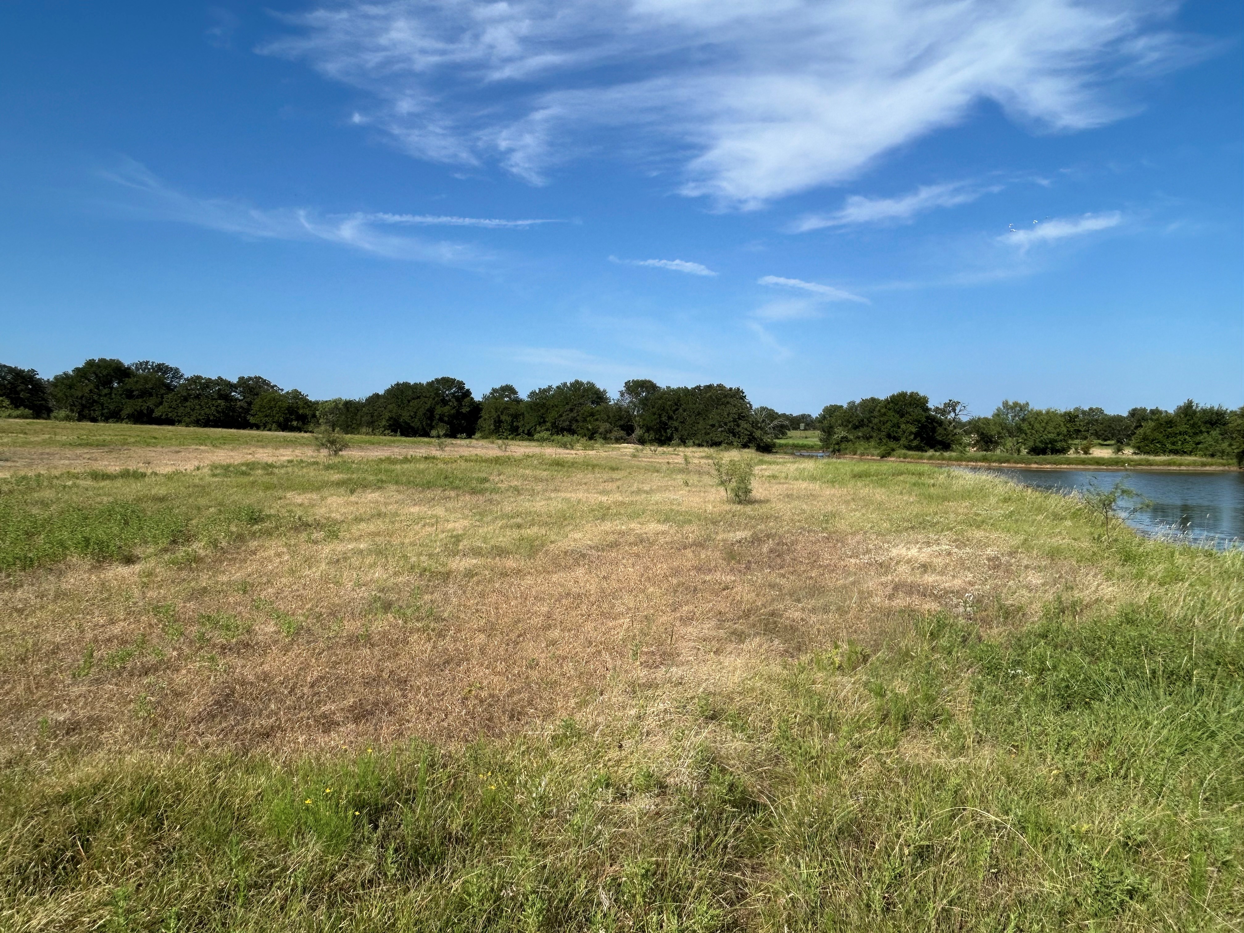 Bridgeport, Texas, 76426, United States, ,Land,For Sale,1981851