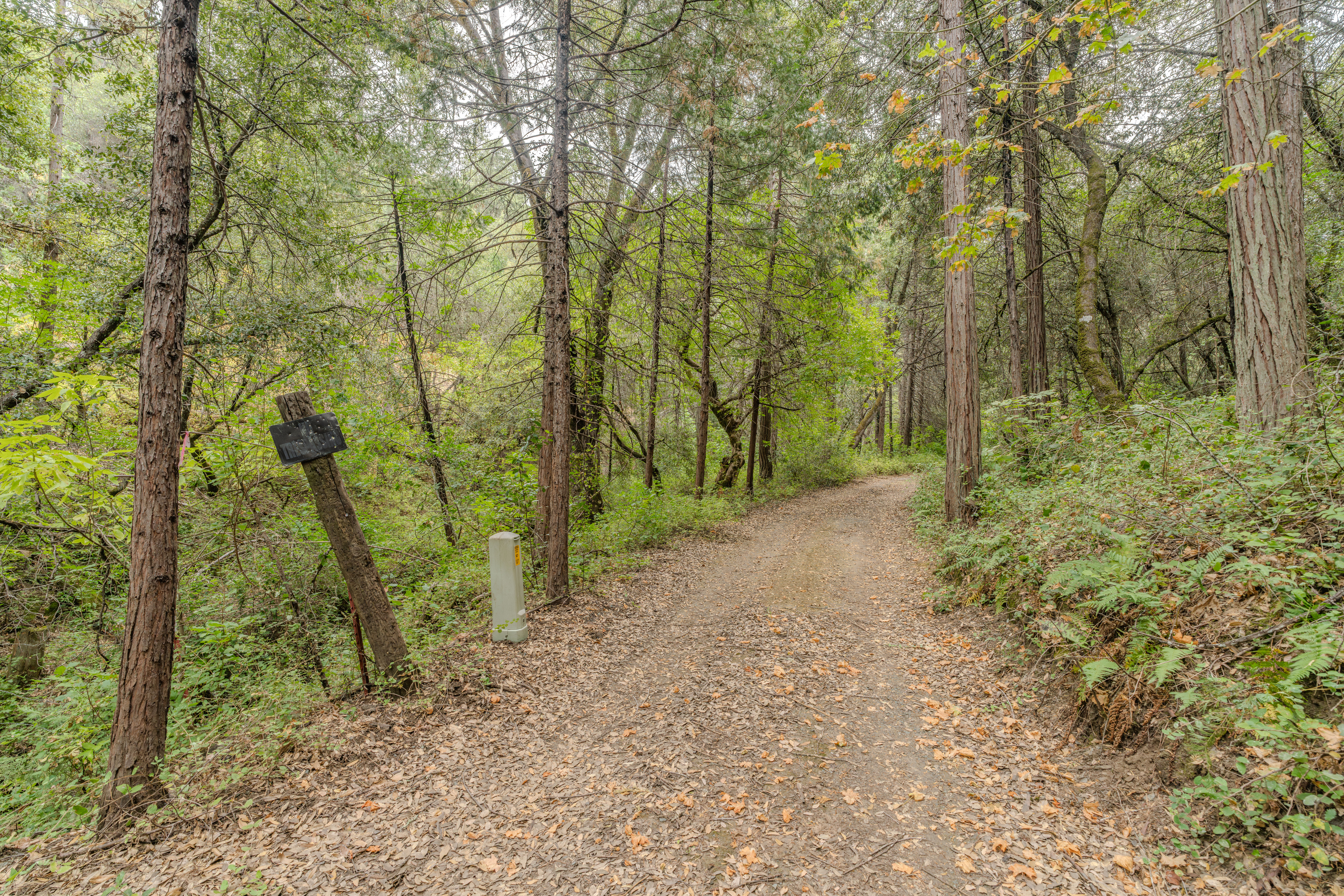  18101 Old River Road, Fiddletown, CA 95629 - 物件實景