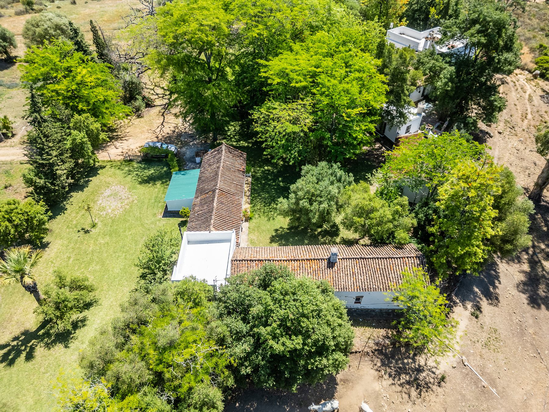  Exclusive Estate in Los Alcornocales Natural Park - 物件實景