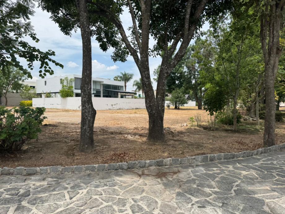 Zapopan, Jalisco, 45019, Mexico, 1 Bedroom Bedrooms, ,1 BathroomBathrooms,Residential,For Sale,1917949