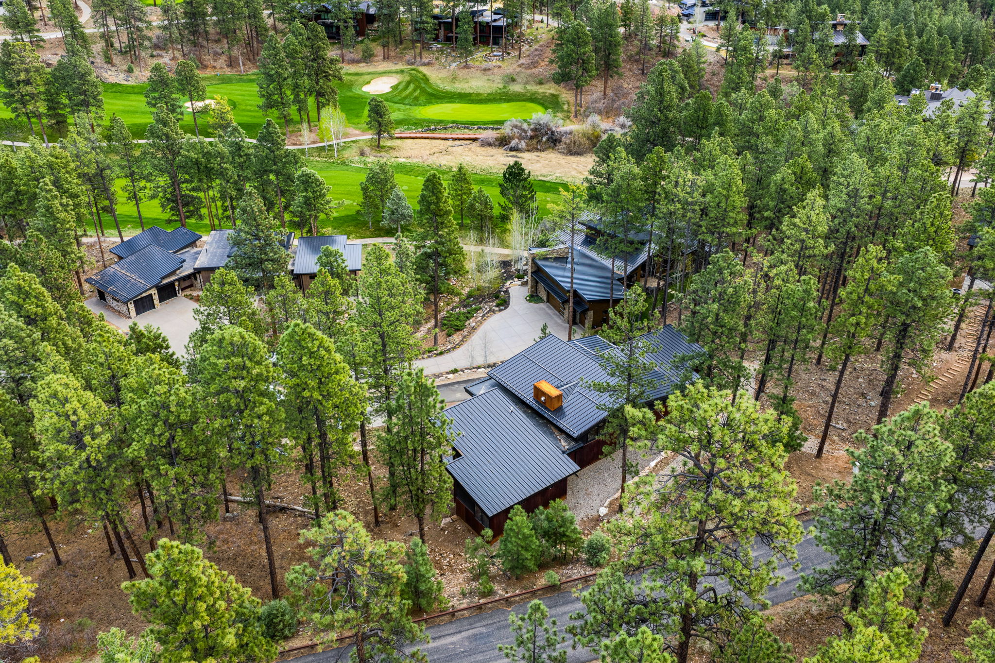  42 Renegade Trail, Durango, CO 81301 - 物件實景