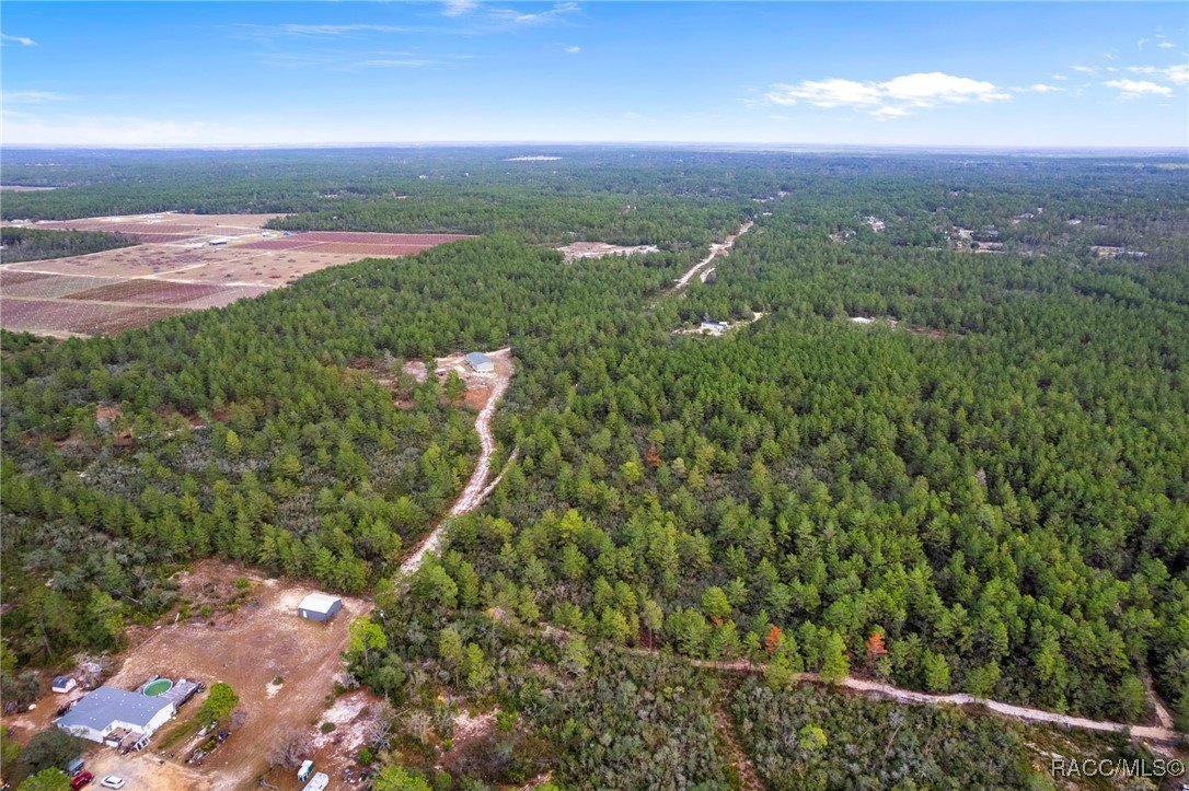 Dunnellon, Florida, 34433, United States, 4 Bedrooms Bedrooms, ,3 BathroomsBathrooms,Residential,For Sale,2008614