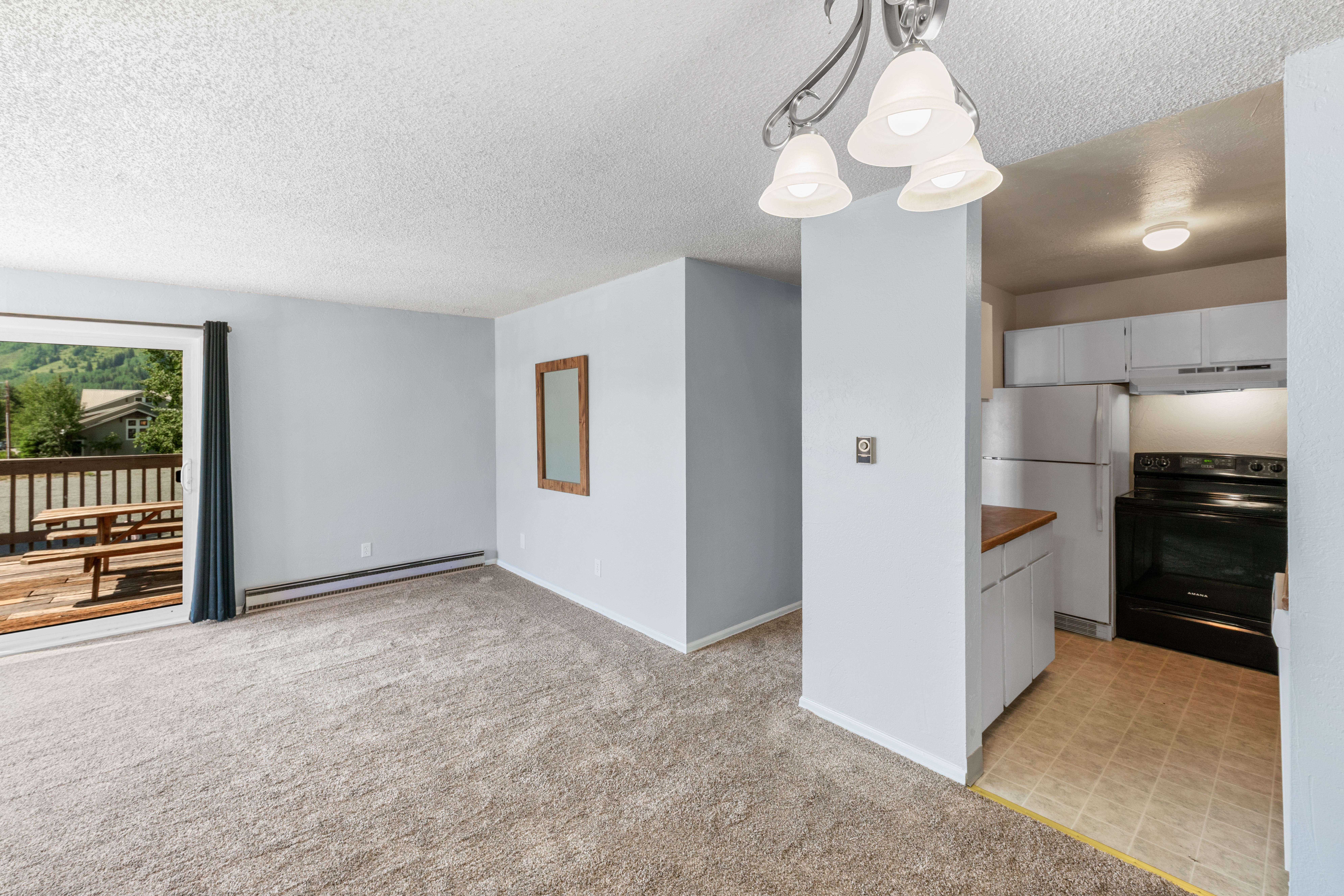  Corner Unit in the Heart of Crested Butte - 物件實景