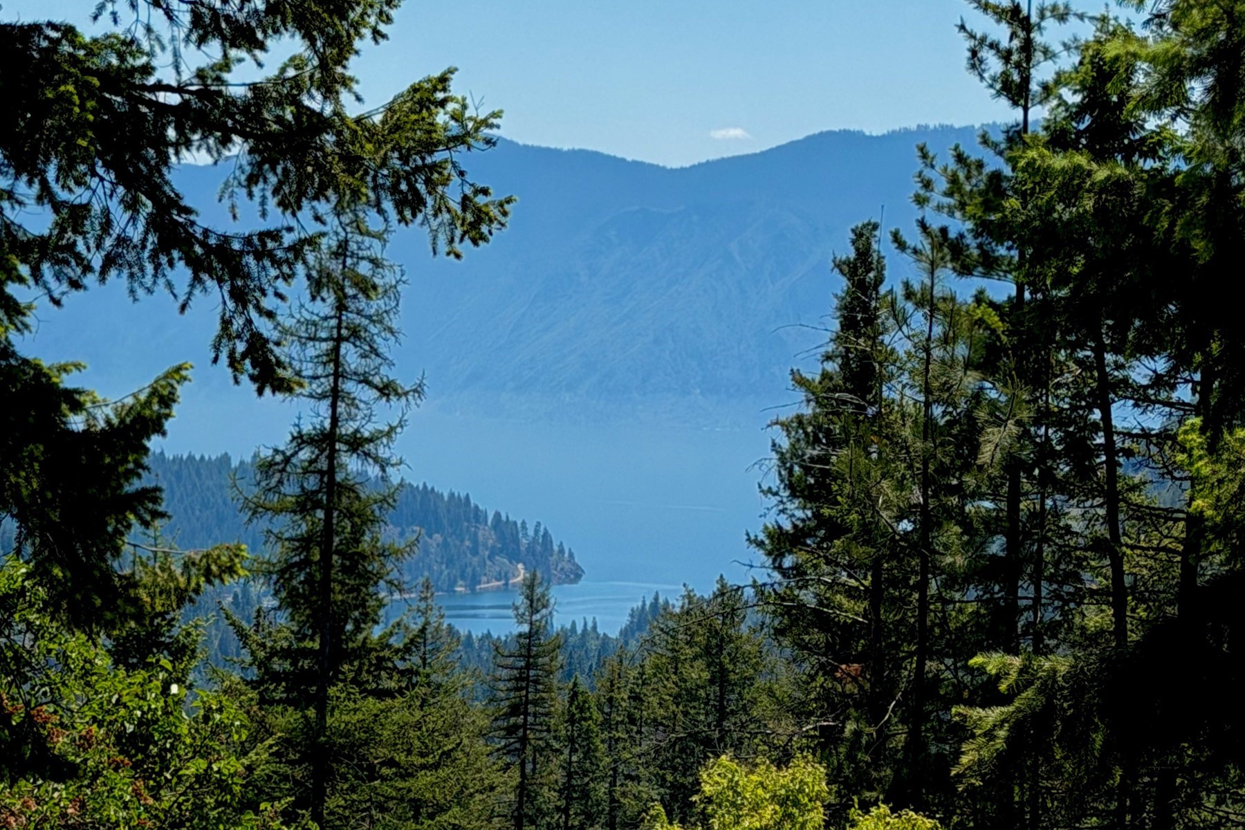 185 Larchwood Dr - 物件實景