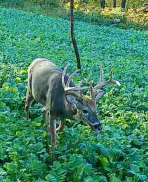 Muscoda, Wisconsin, 53573, United States, 3 Bedrooms Bedrooms, ,3 BathroomsBathrooms,Residential,For Sale,1990387