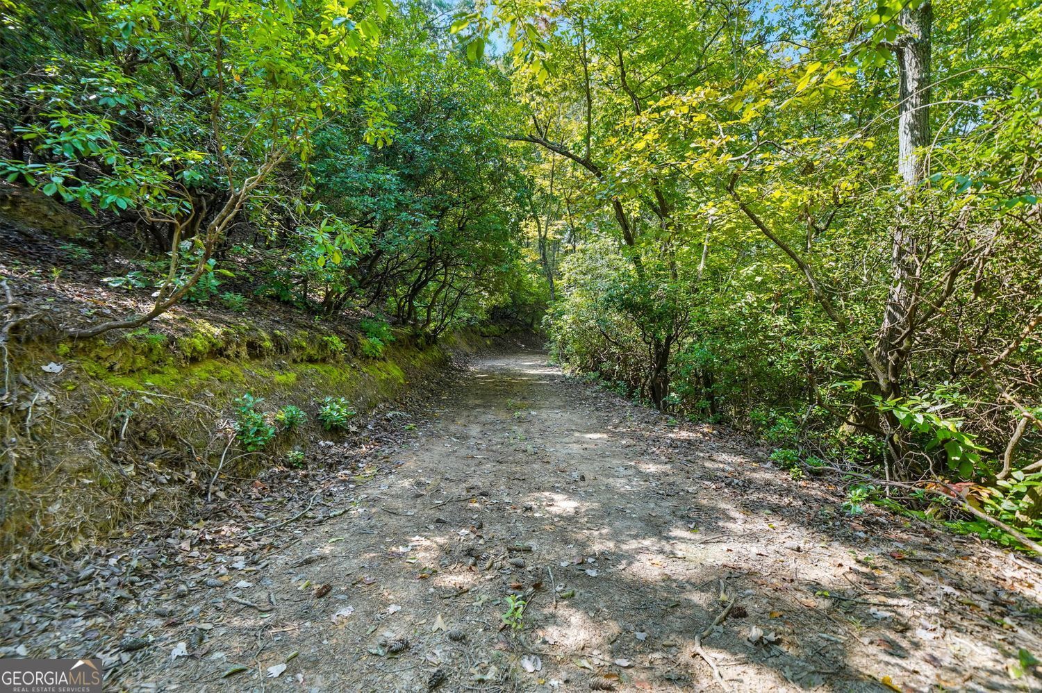 Waleska, Georgia, 30183, United States, ,Land,For Sale,1929808