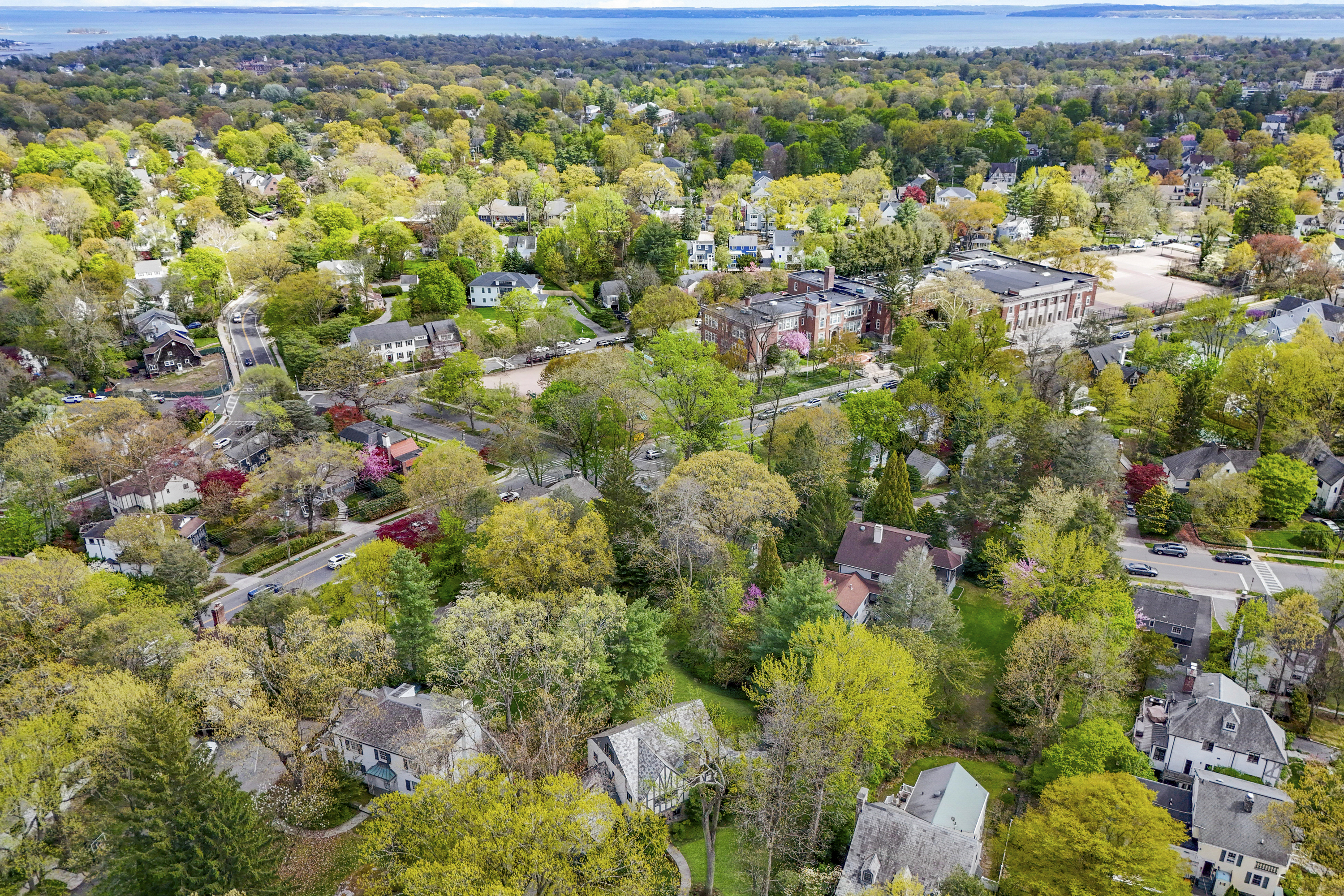  Sophisticated Larchmont Tudor - 物件實景