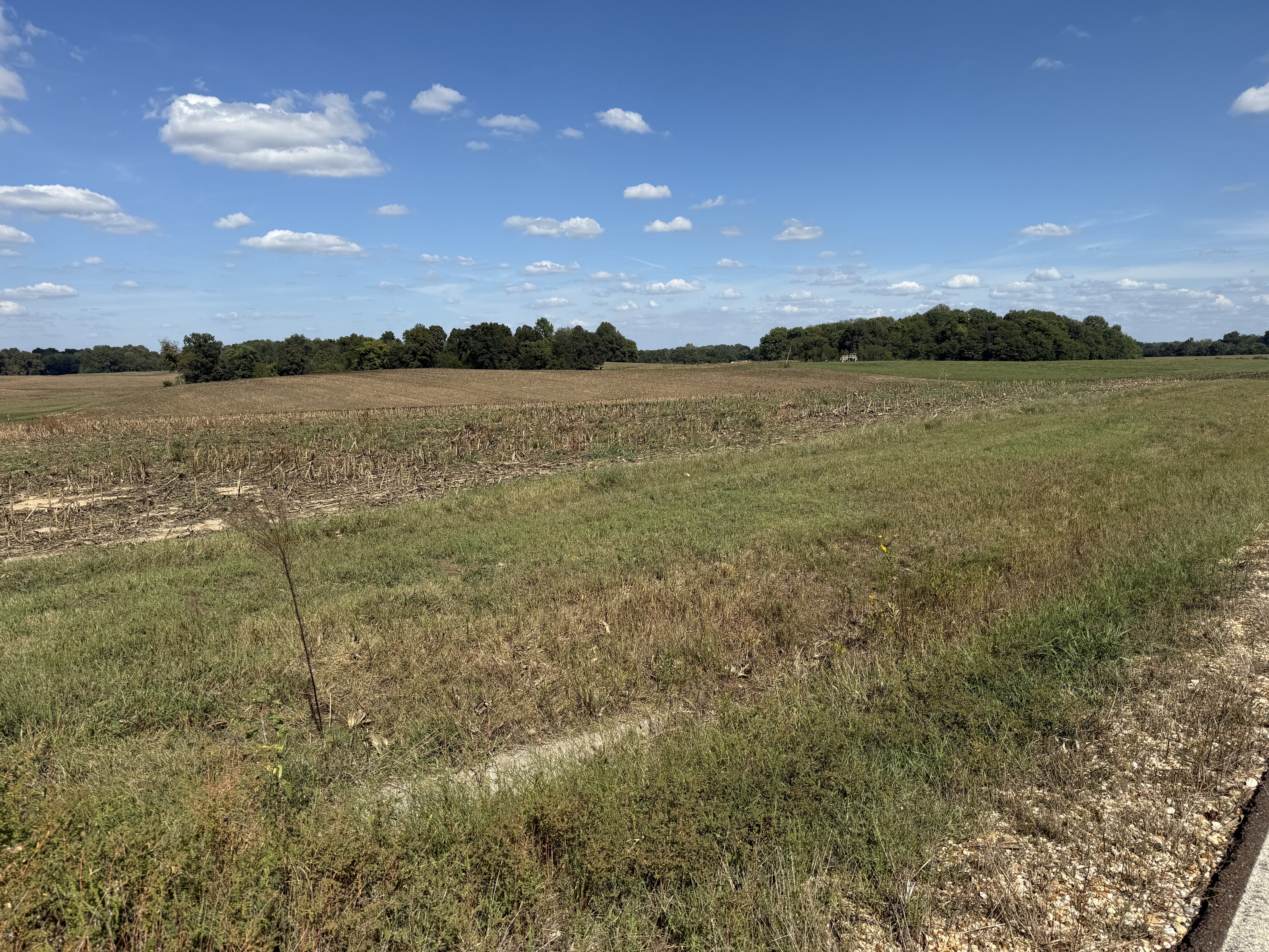 Union City, Tennessee, 38261, United States, ,Land,For Sale,1983547