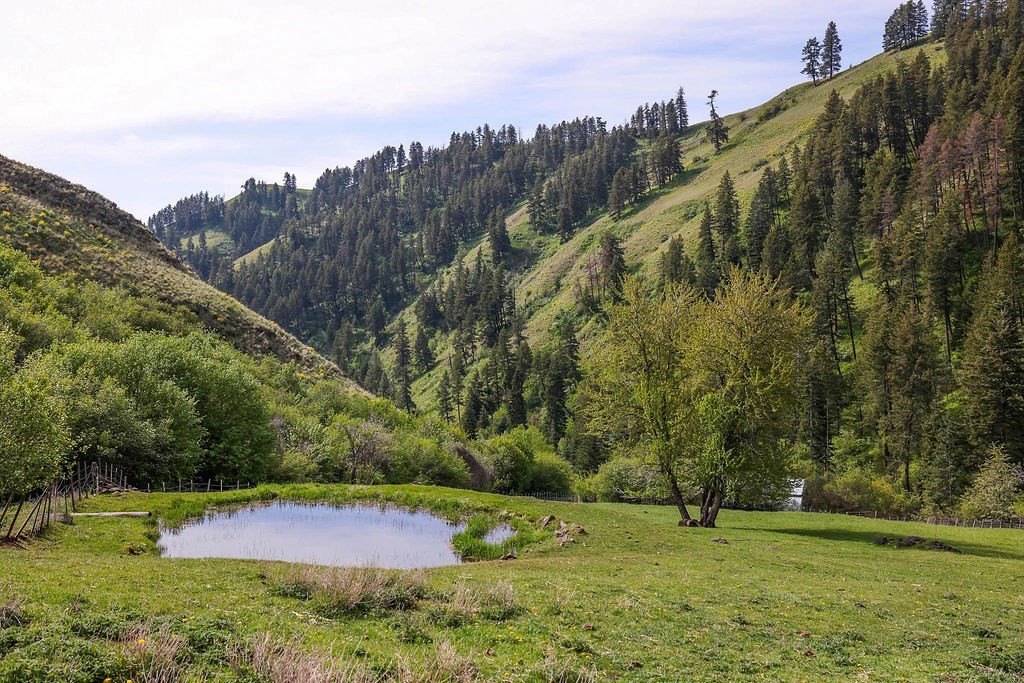 Riggins, Idaho, 83549, United States, 2 Bedrooms Bedrooms, ,1 BathroomBathrooms,Residential,For Sale,1825339