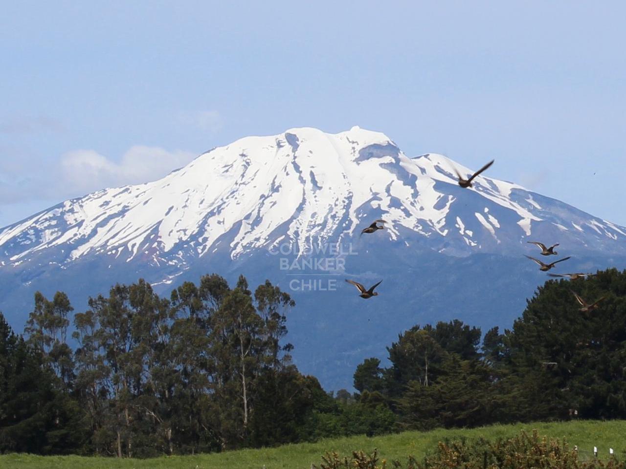 Puerto Varas, Chile, 5 Bedrooms Bedrooms, ,4 BathroomsBathrooms,Residential,For Sale,1962371