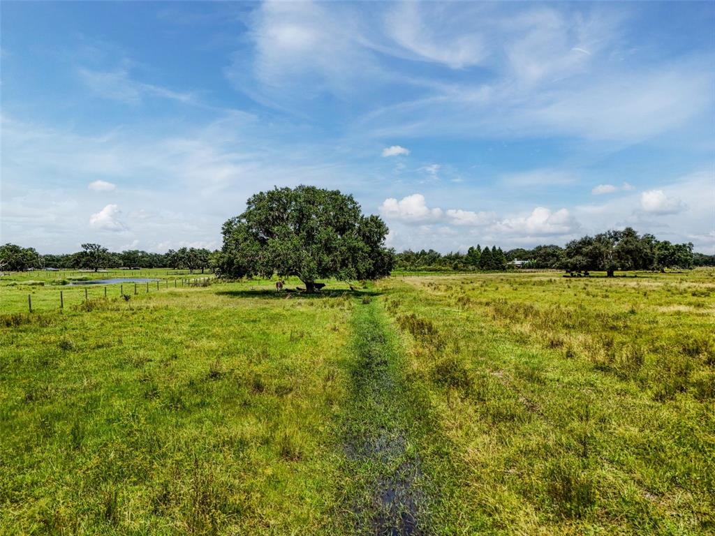Myakka City, Florida, 34251, United States, ,Land,For Sale,1908306