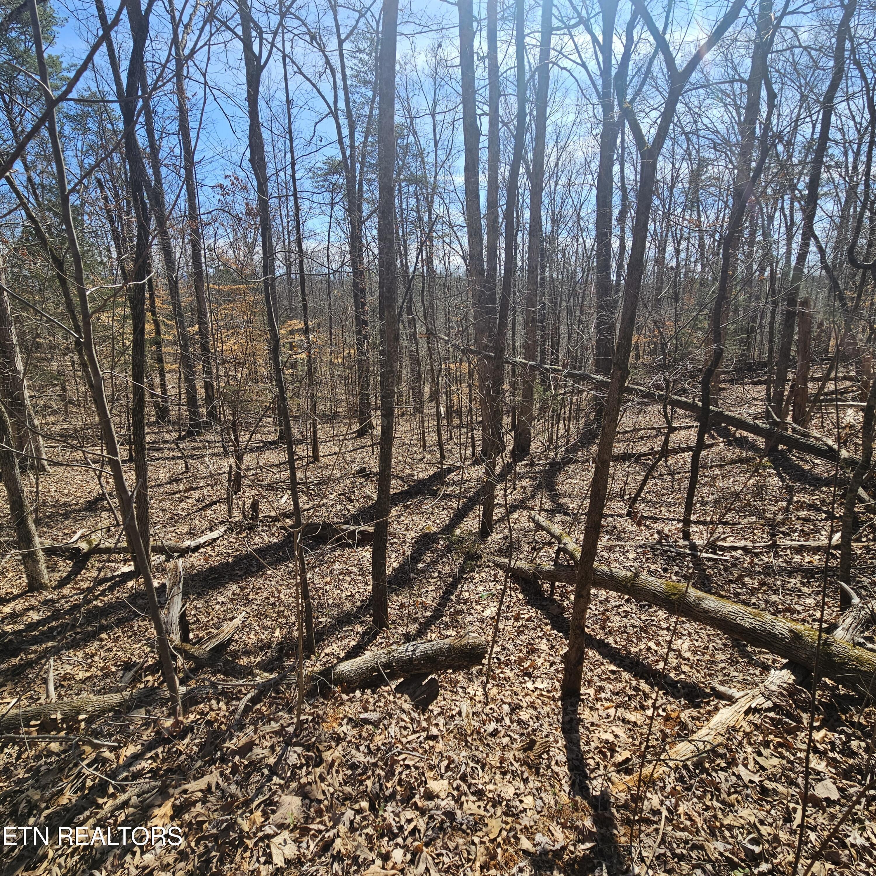 Tellico Plains, Tennessee, 37385, United States, ,Residential,For Sale,1922105
