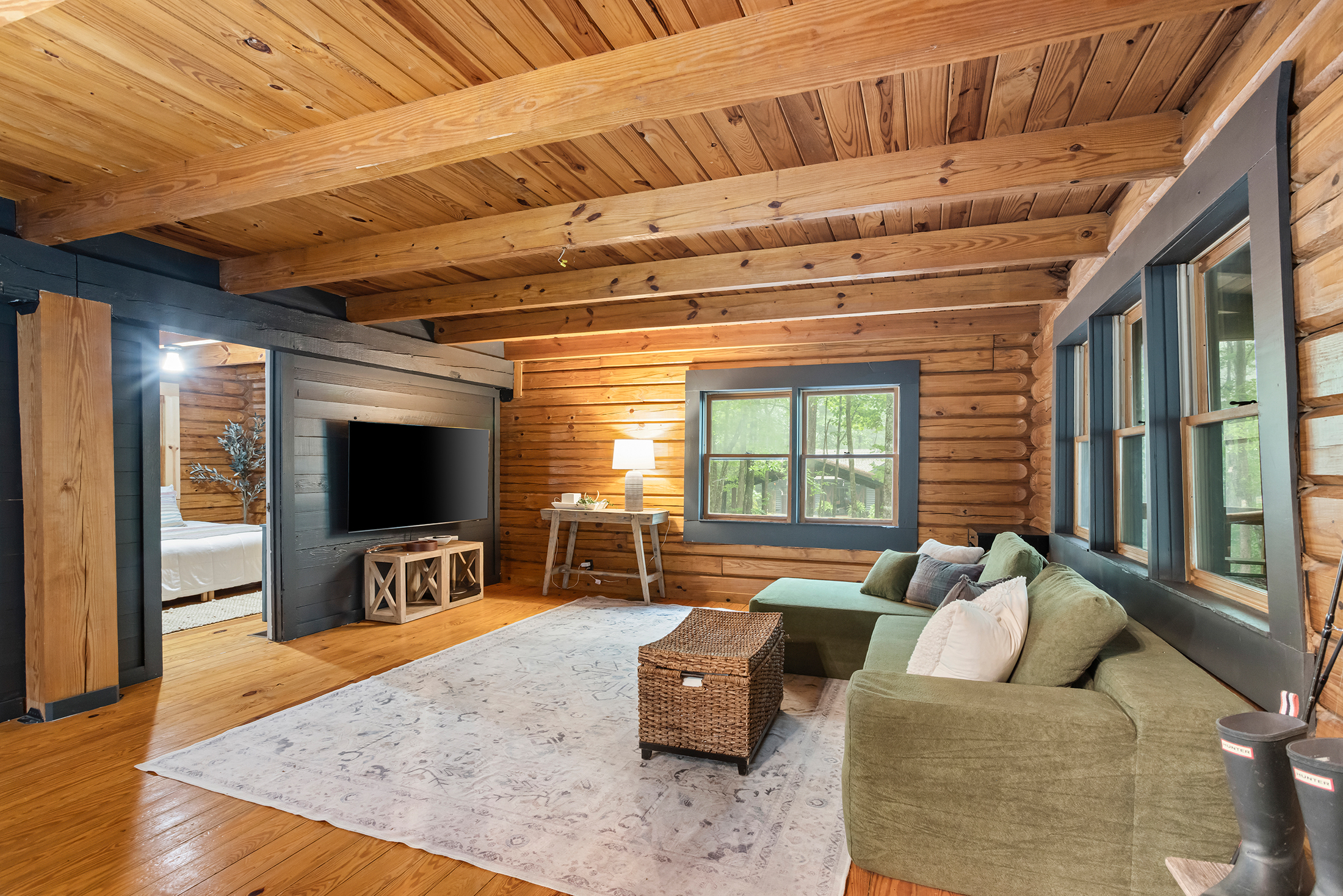  Charming, Private Cabin Overlooking Lake Coweta - 物件實景