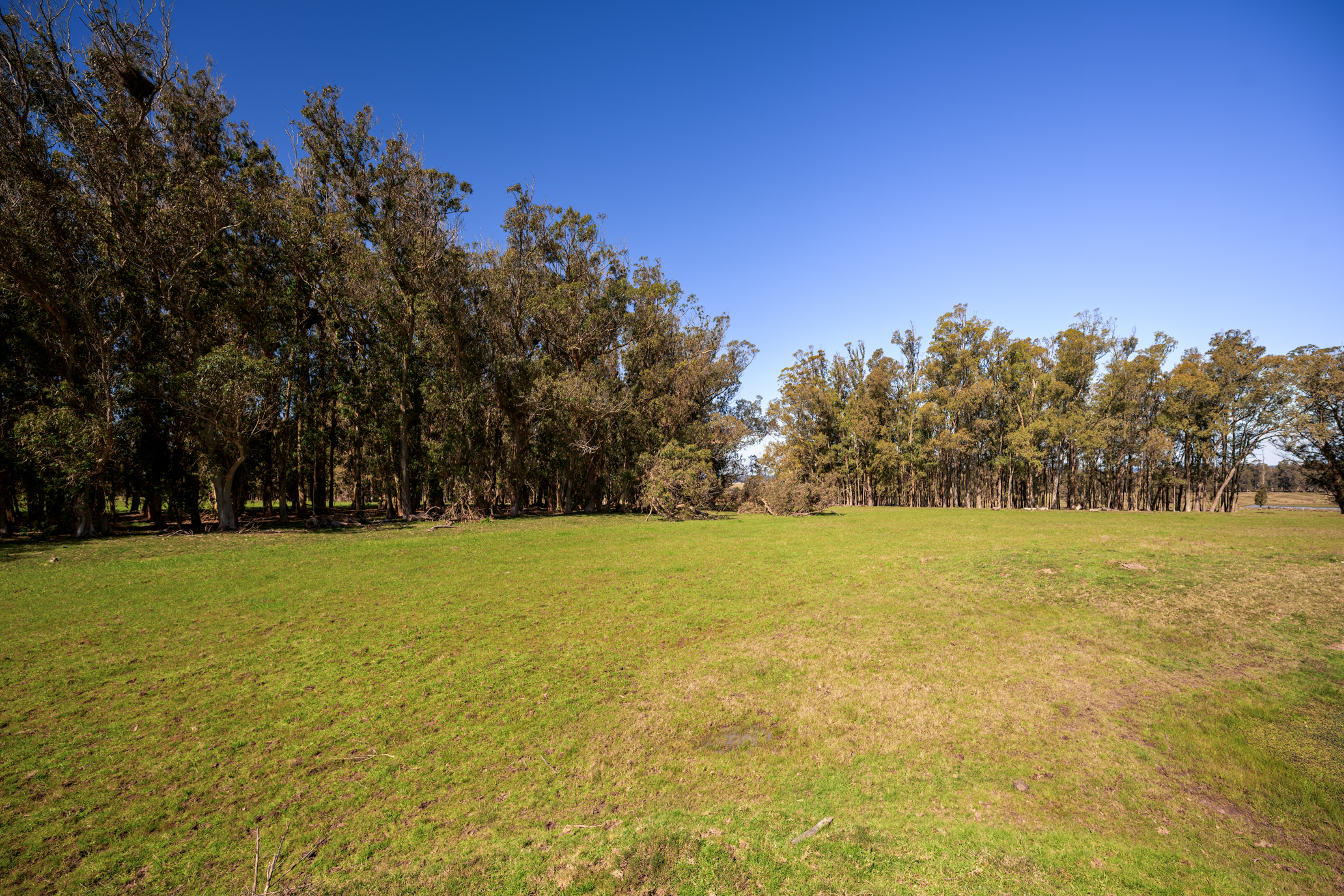 La Virazón  597-Hectare Oceanfront Estate in Rocha, Uruguay - 物件實景